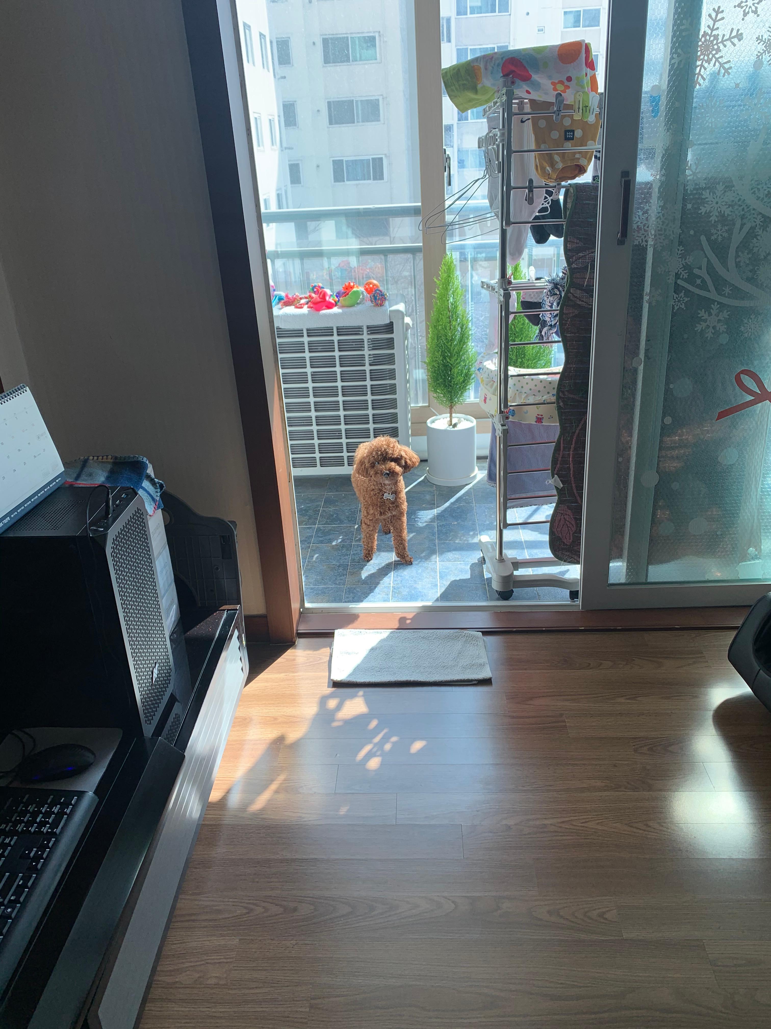 명장동 실거주자 사진 2