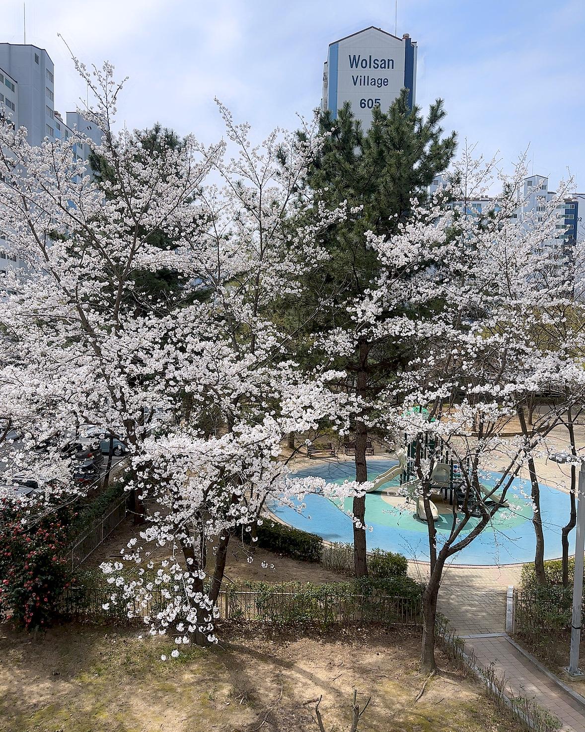 부곡동 실거주자 사진 4