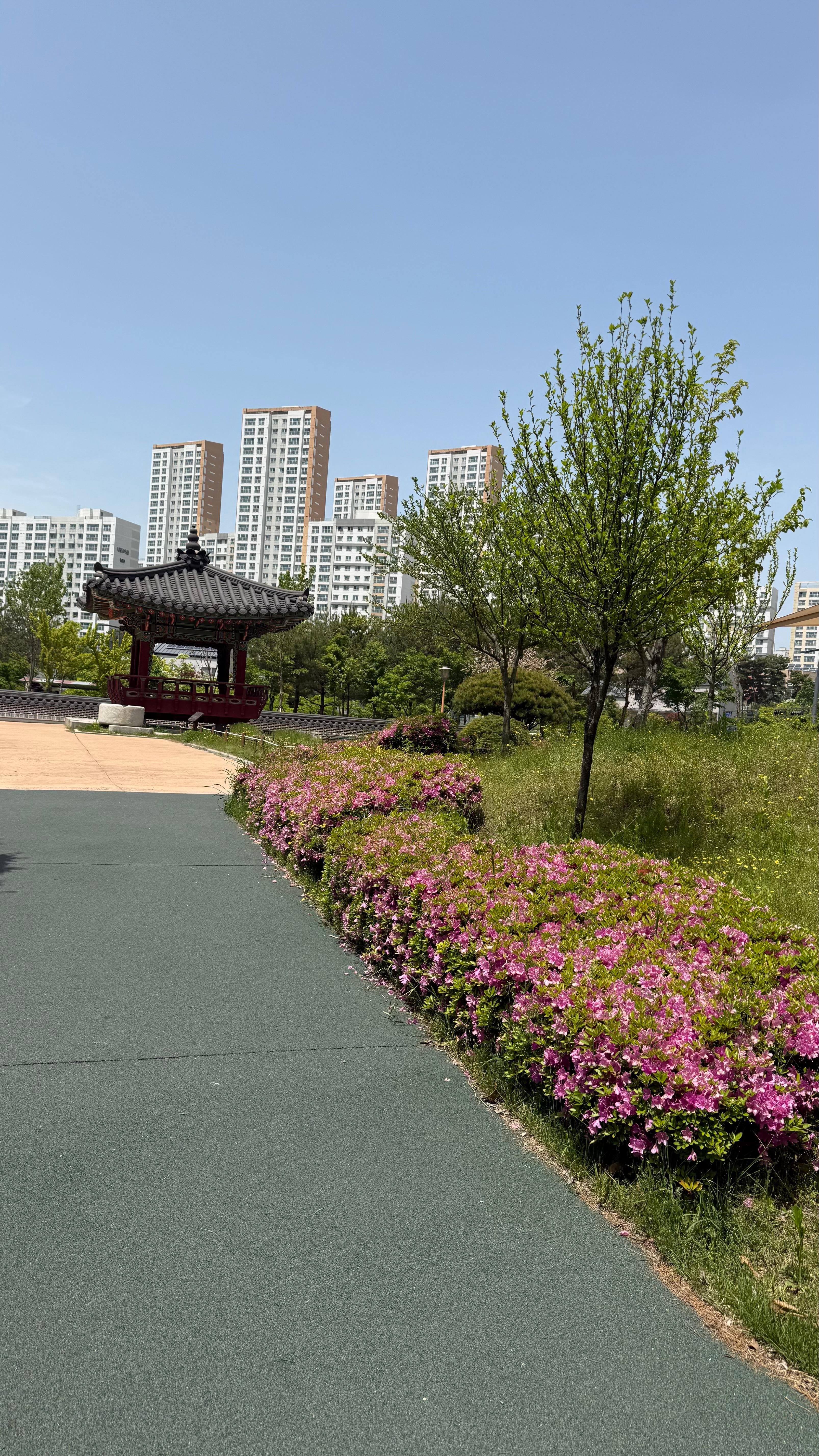 한솔동 실거주자 사진 2