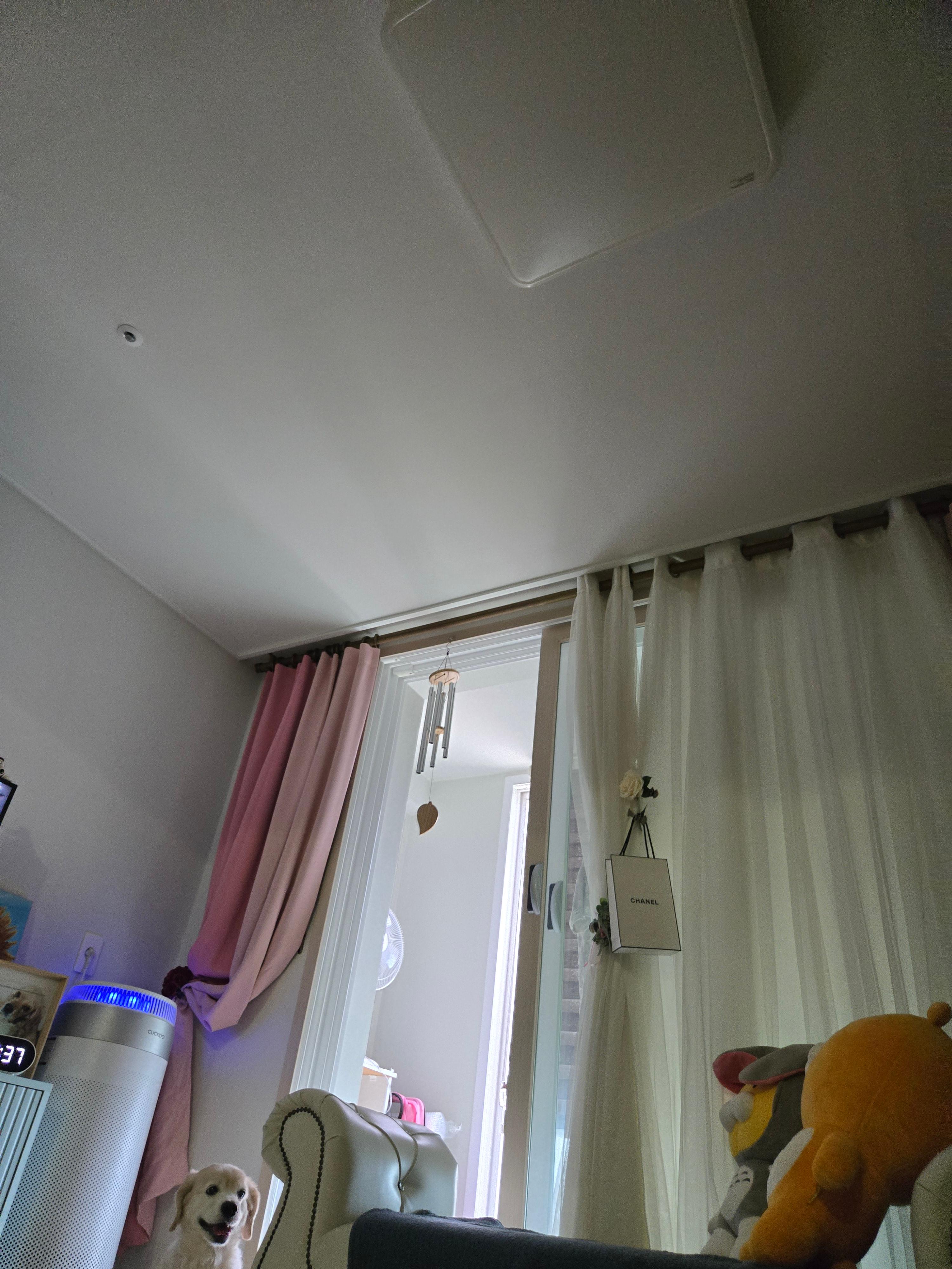 성화동 실거주자 사진 7