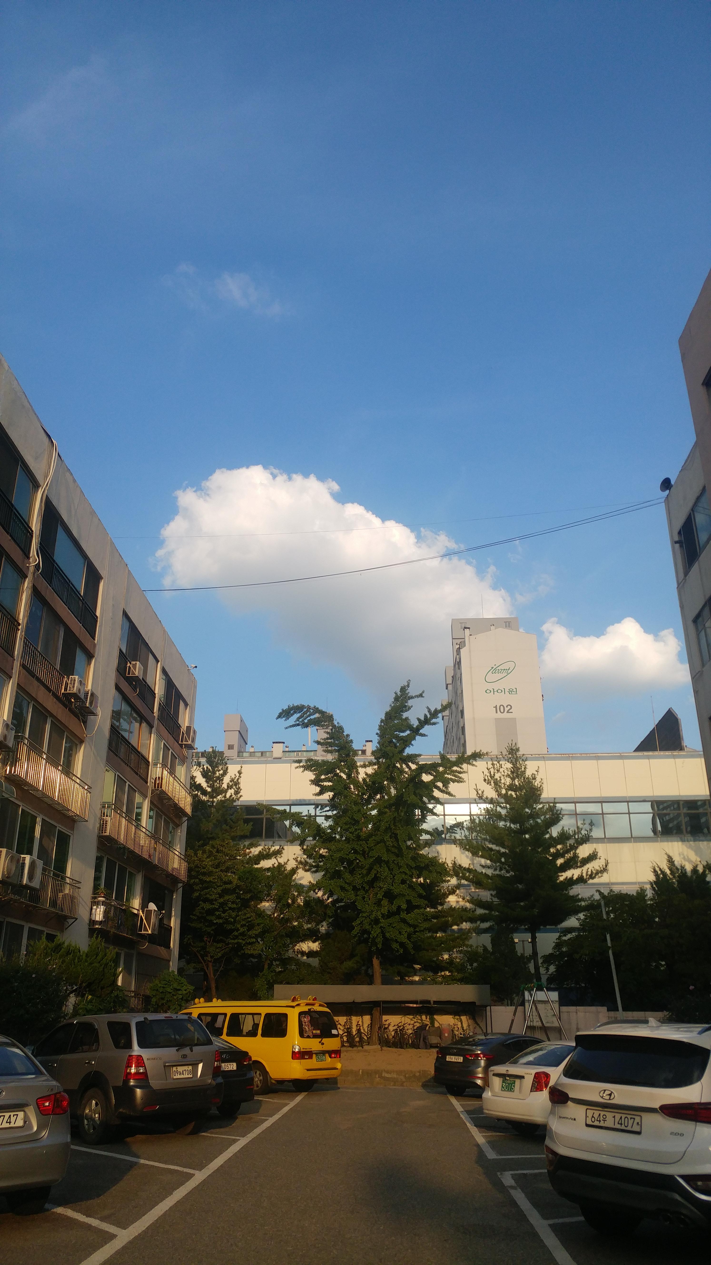 효성동 실거주자 사진 7