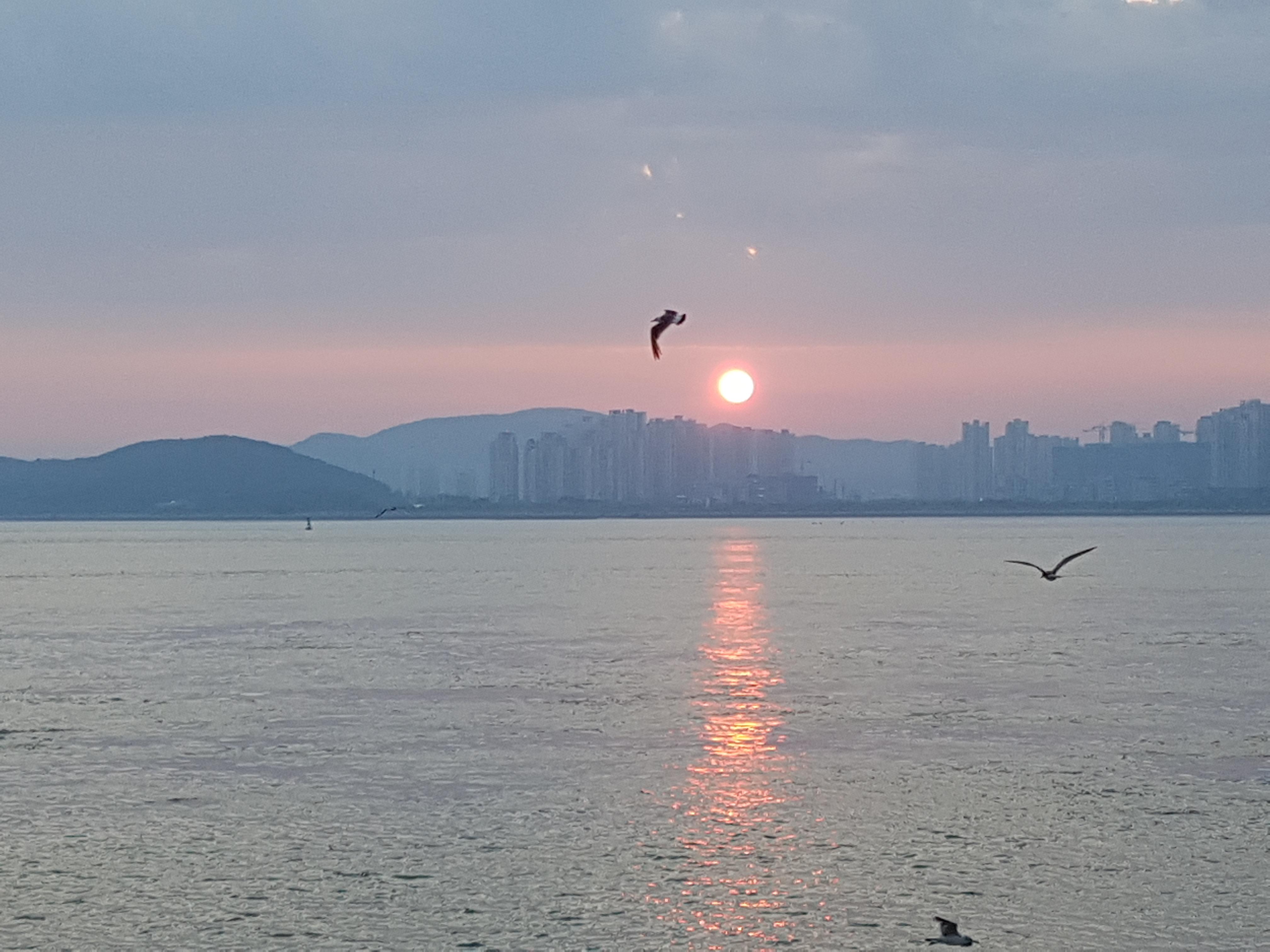 본오동 실거주자 사진 1