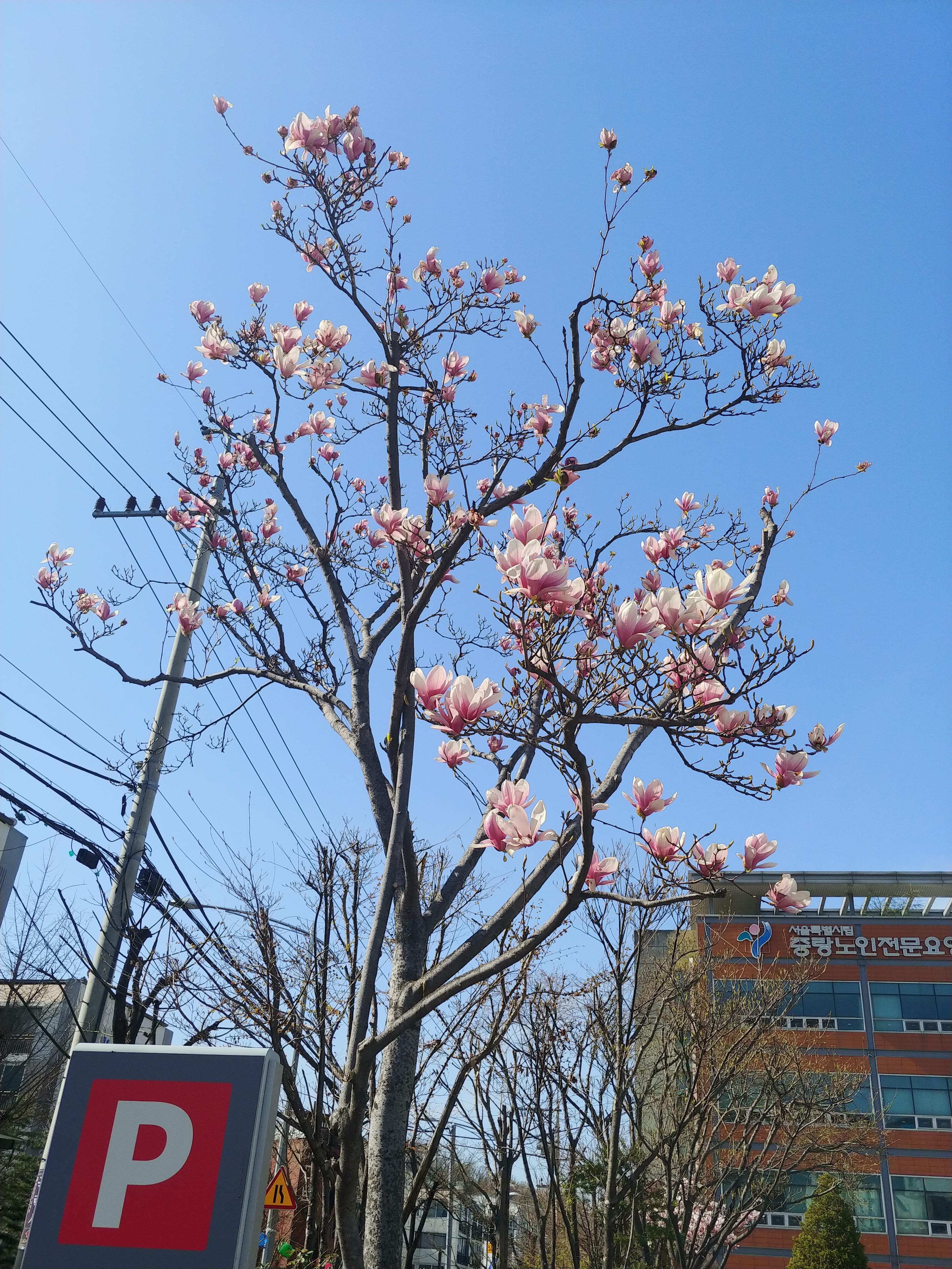 망우동 실거주자 사진 7