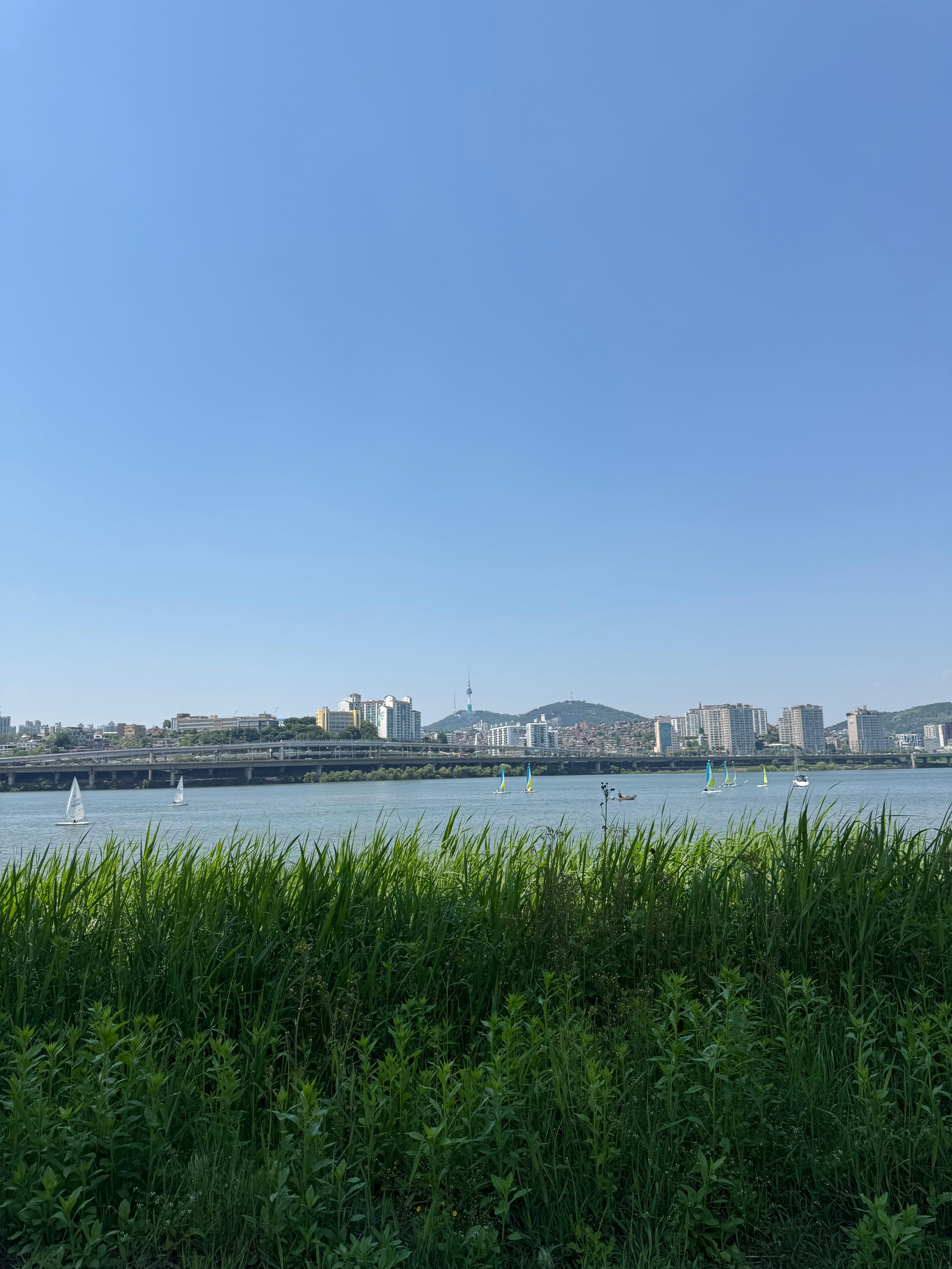 옥수동 실거주자 사진 3