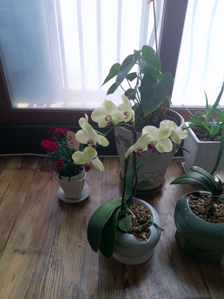 반구동 실거주자 사진 3