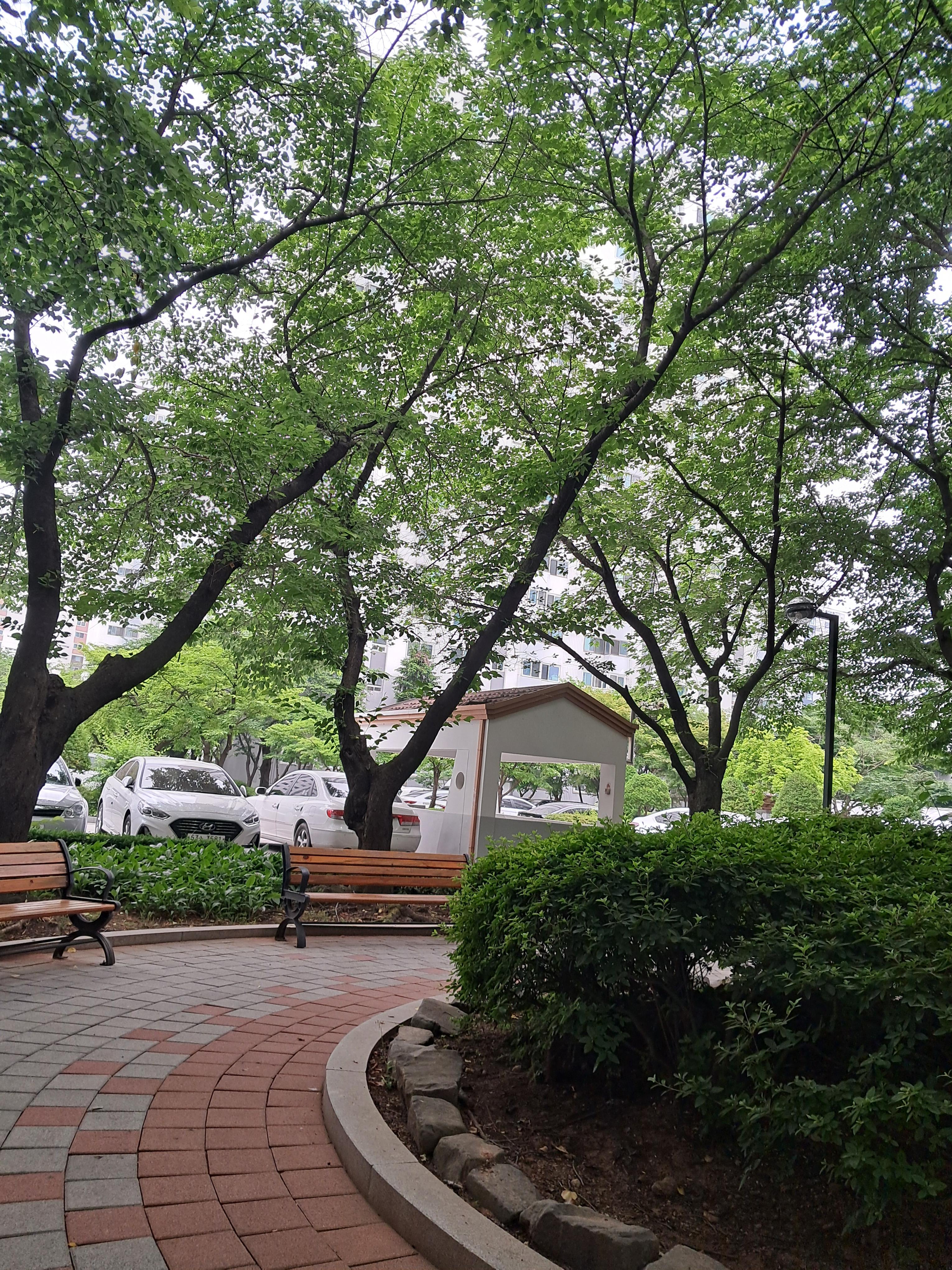 장항동 실거주자 사진 8