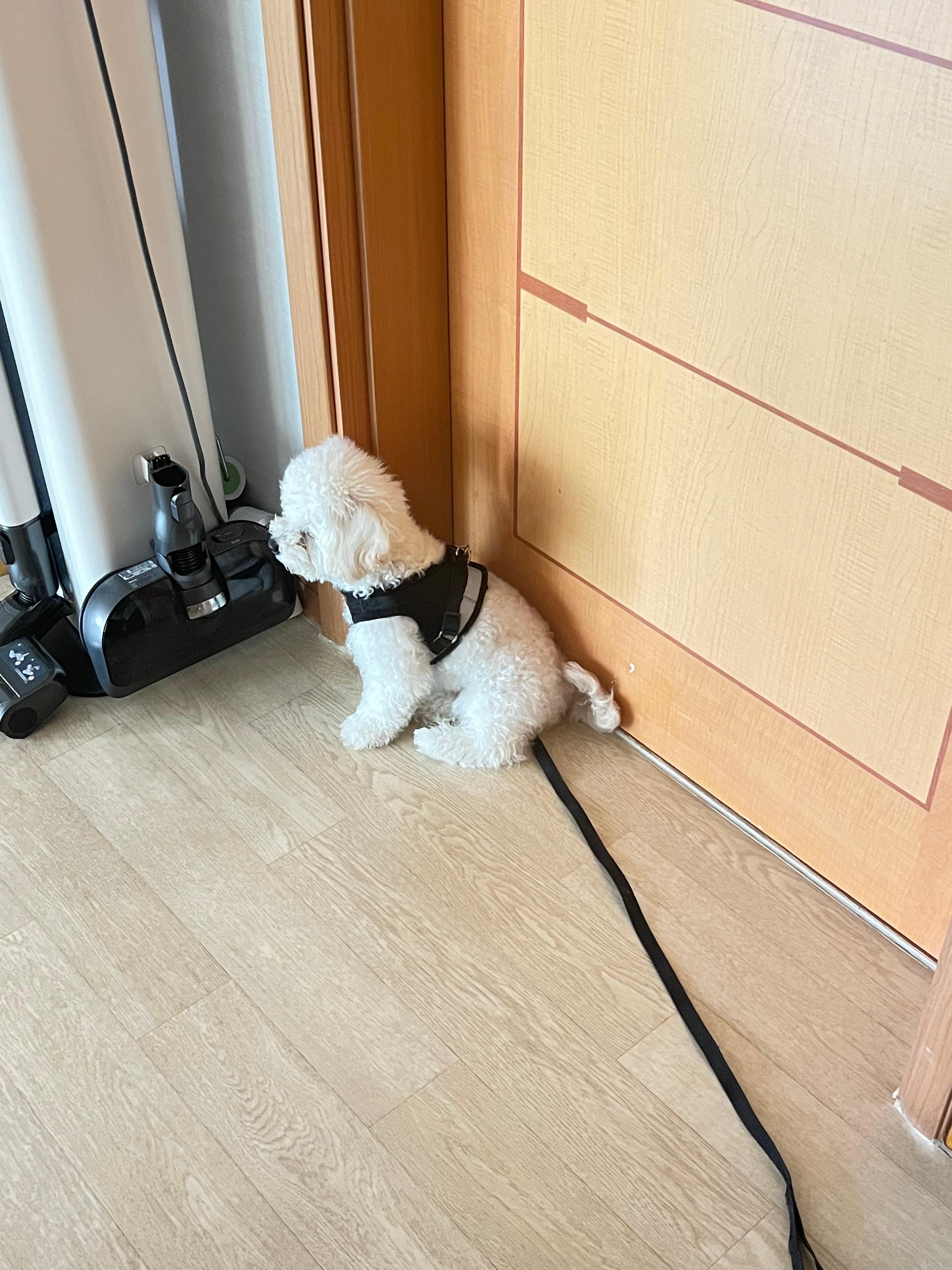 교동 실거주자 사진 3