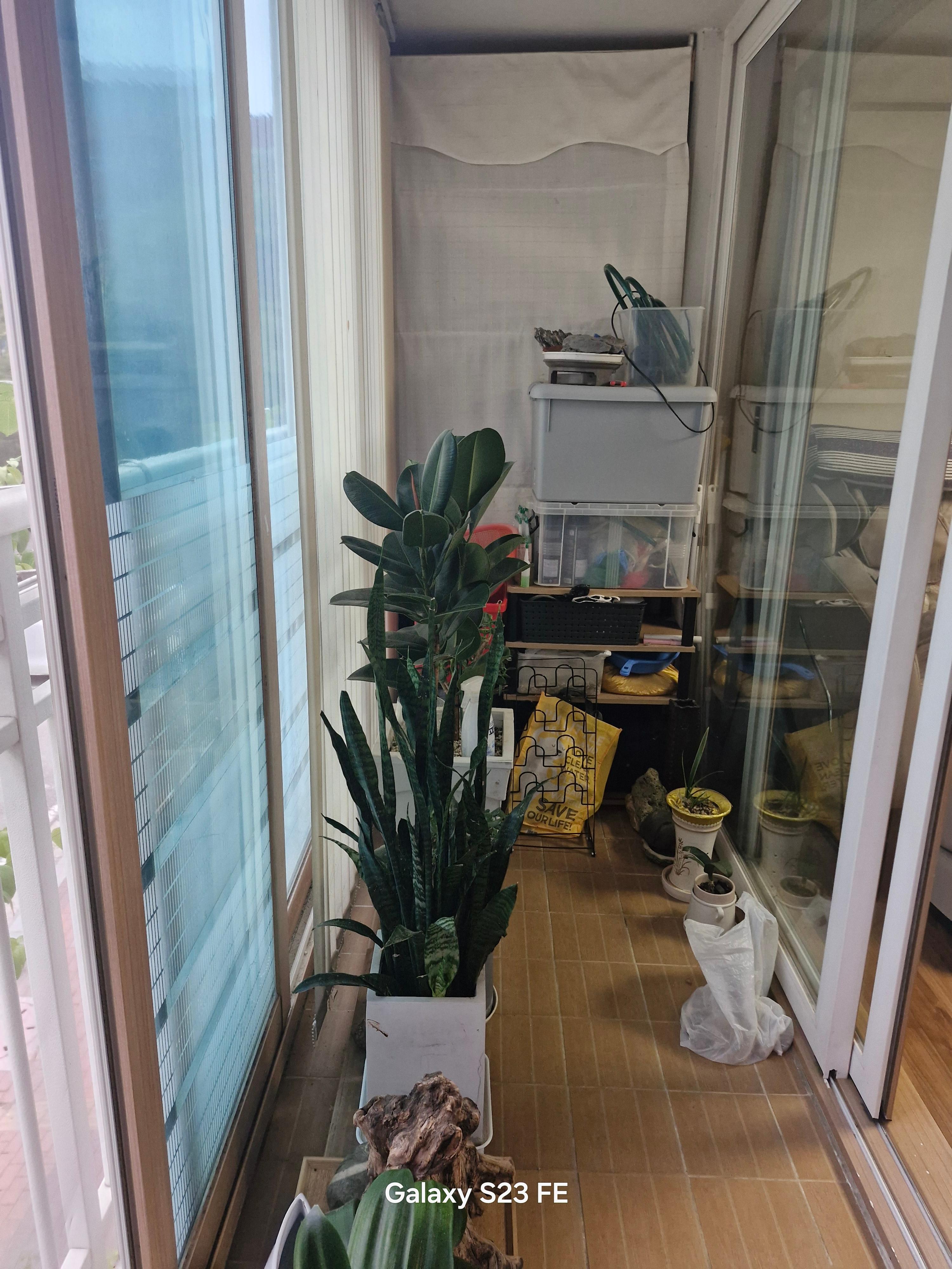 덕풍동 실거주자 사진 5