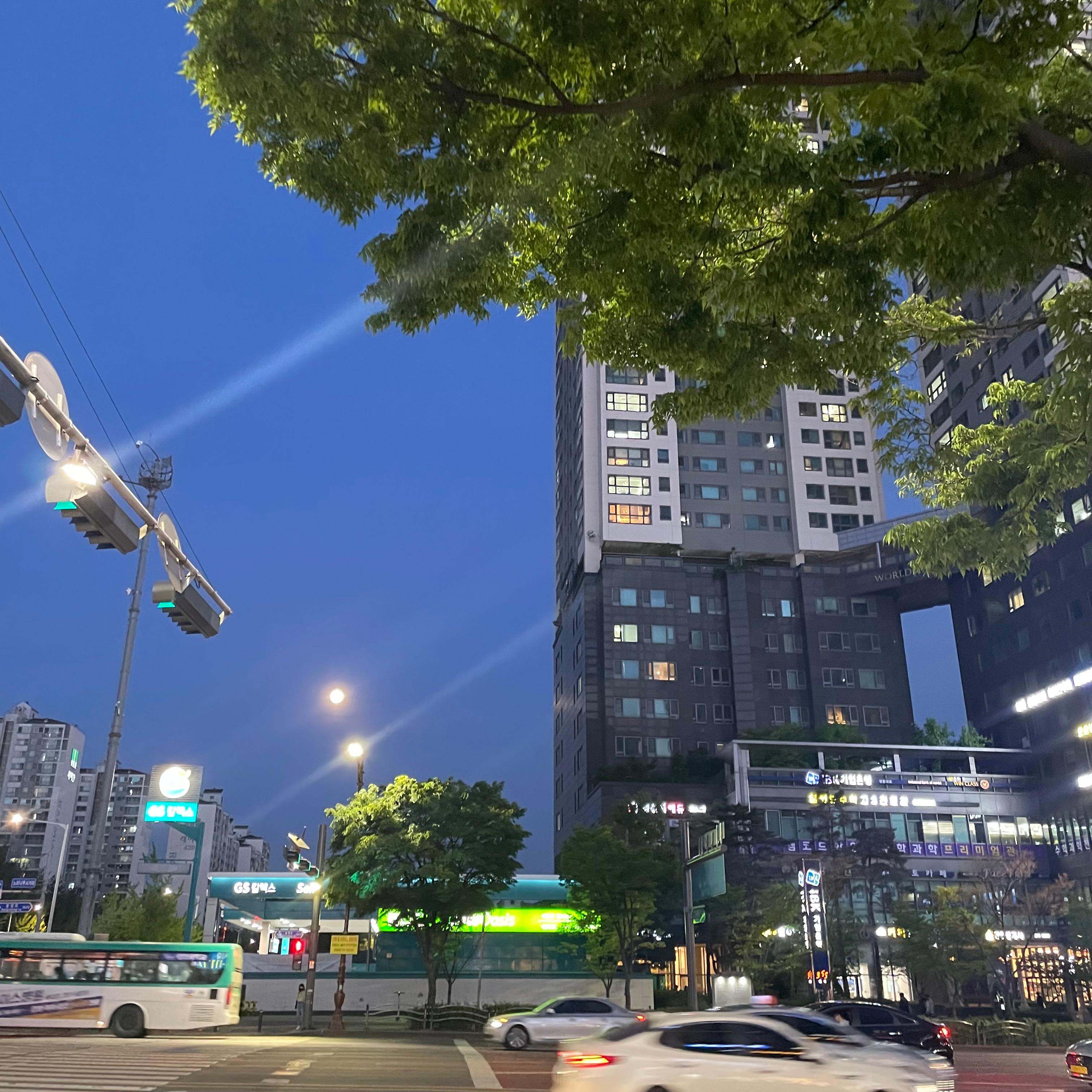 죽백동 실거주자 사진 4