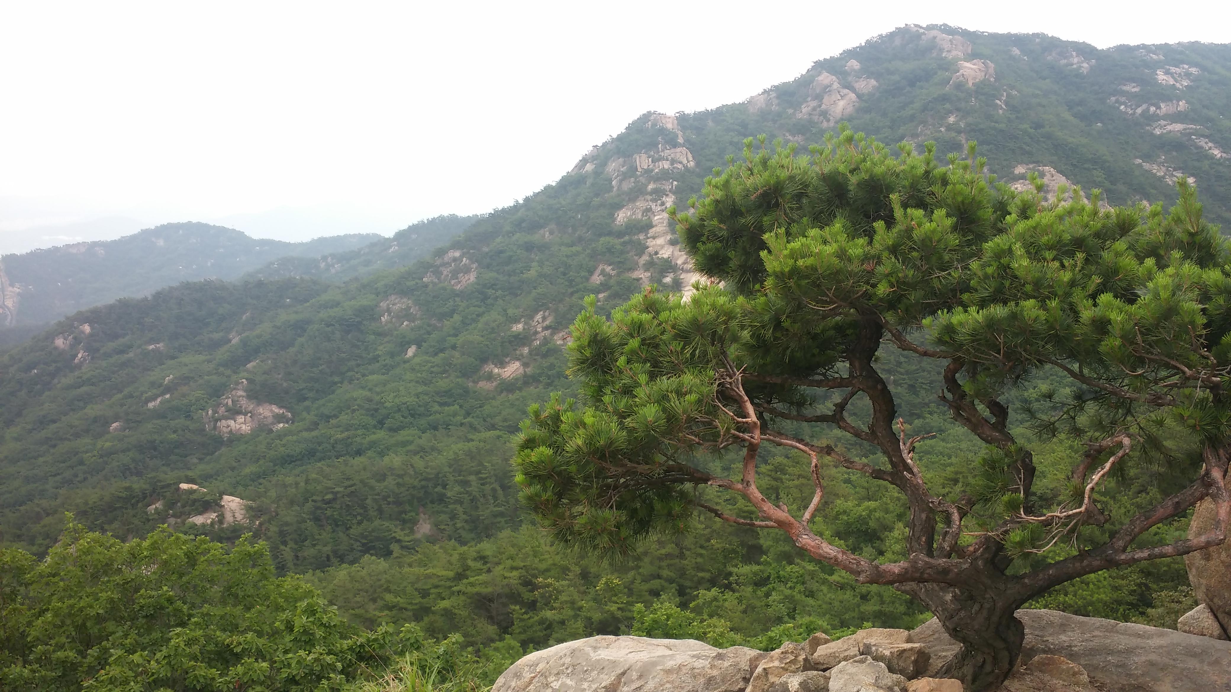 봉천동 실거주자 사진 2