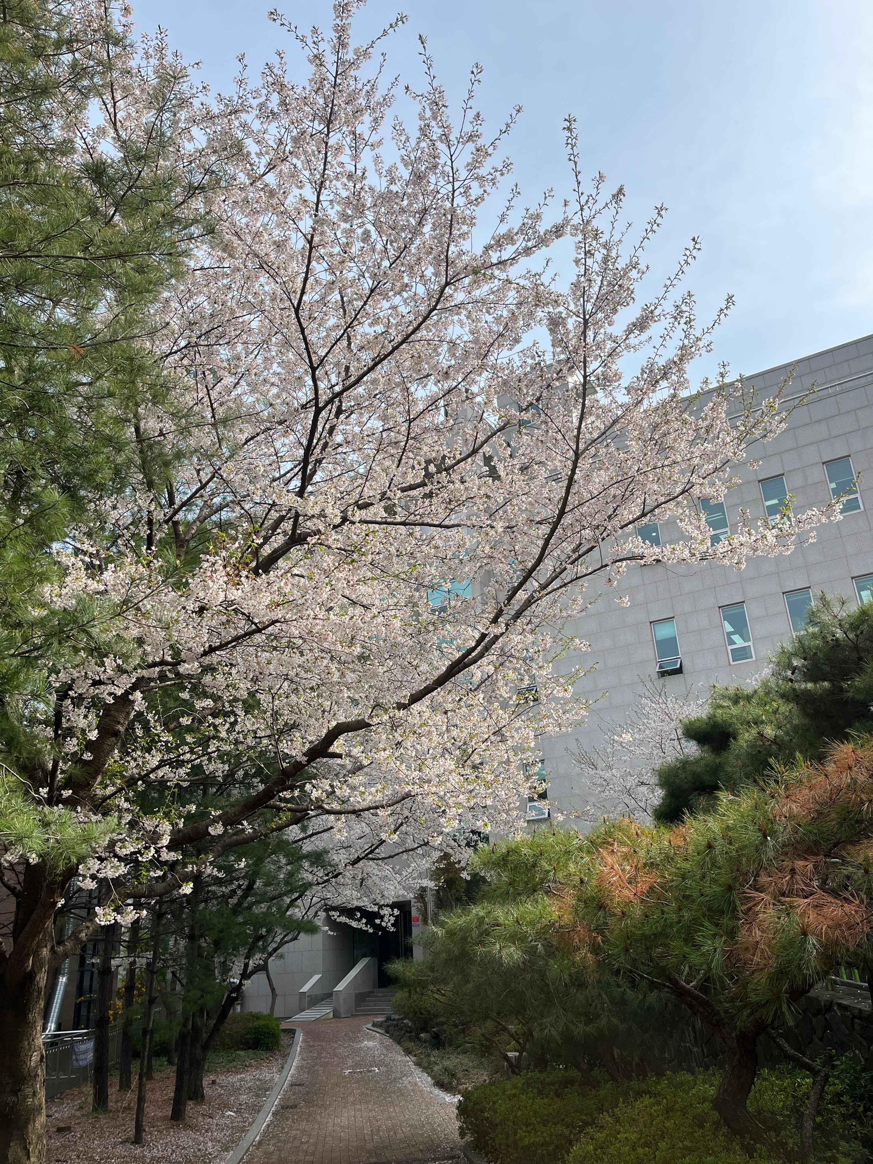 대야미동 실거주자 사진 2