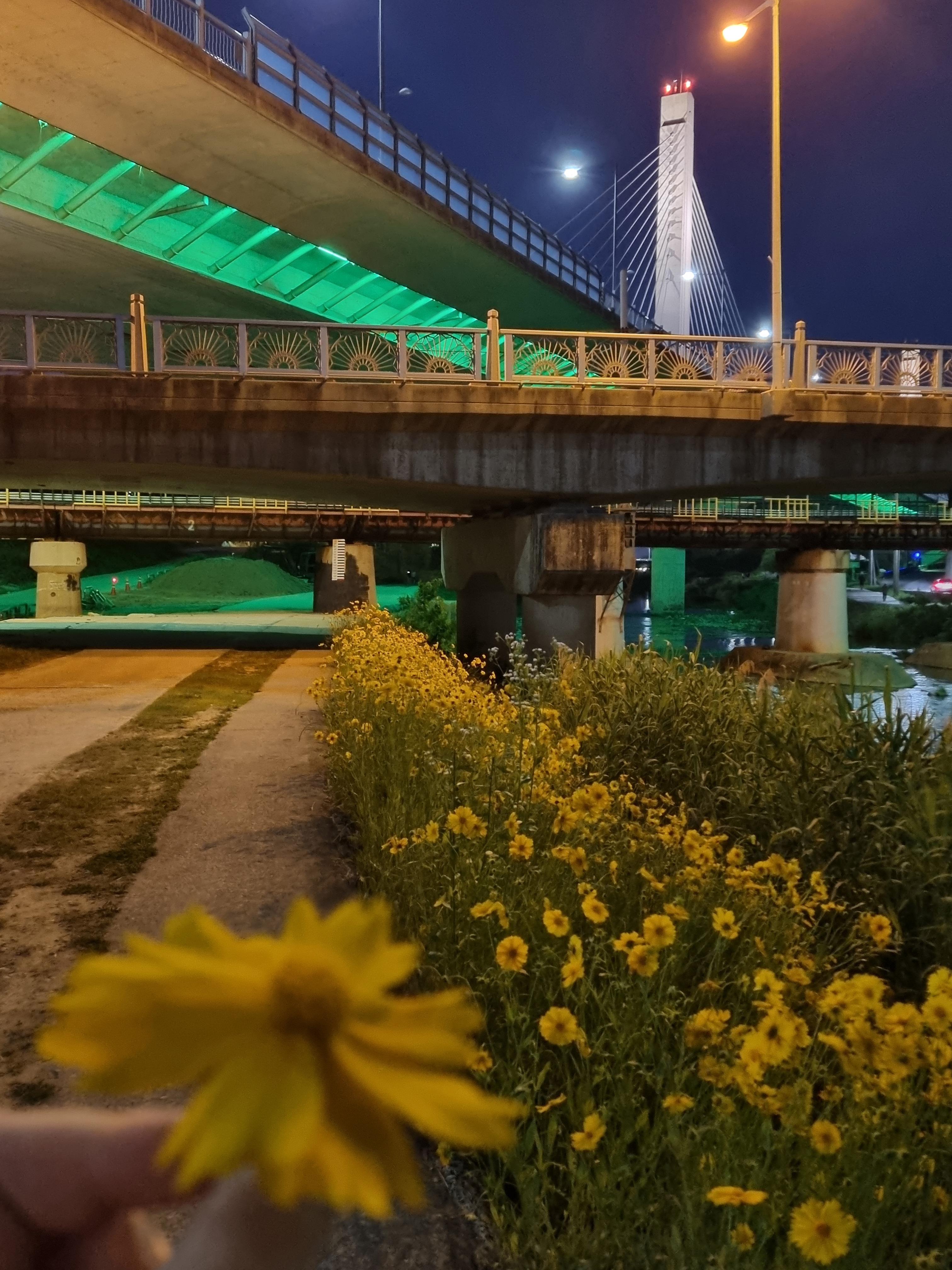 운남동 실거주자 사진 2