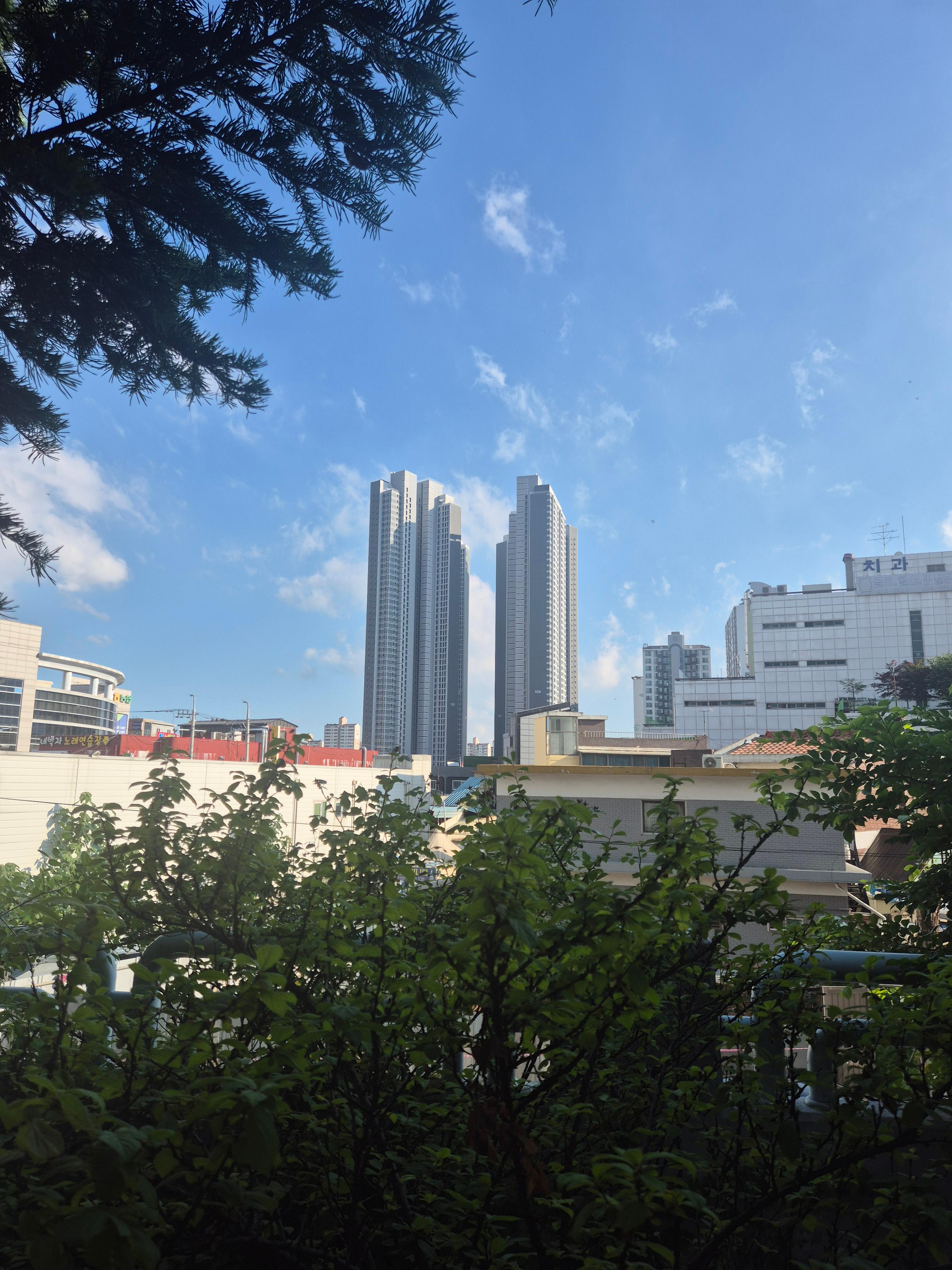 일산동 실거주자 사진 2