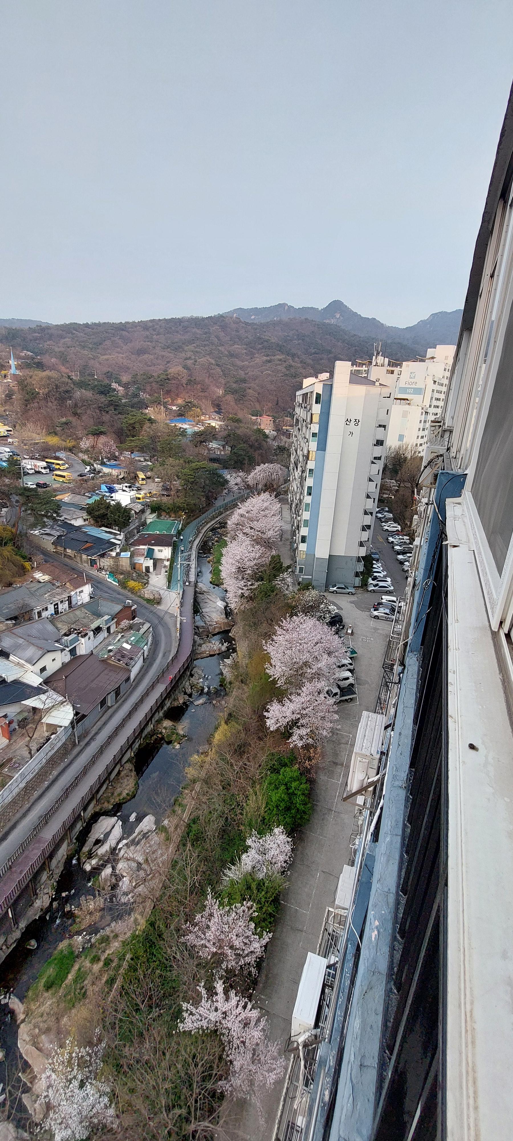정릉동 실거주자 사진 6