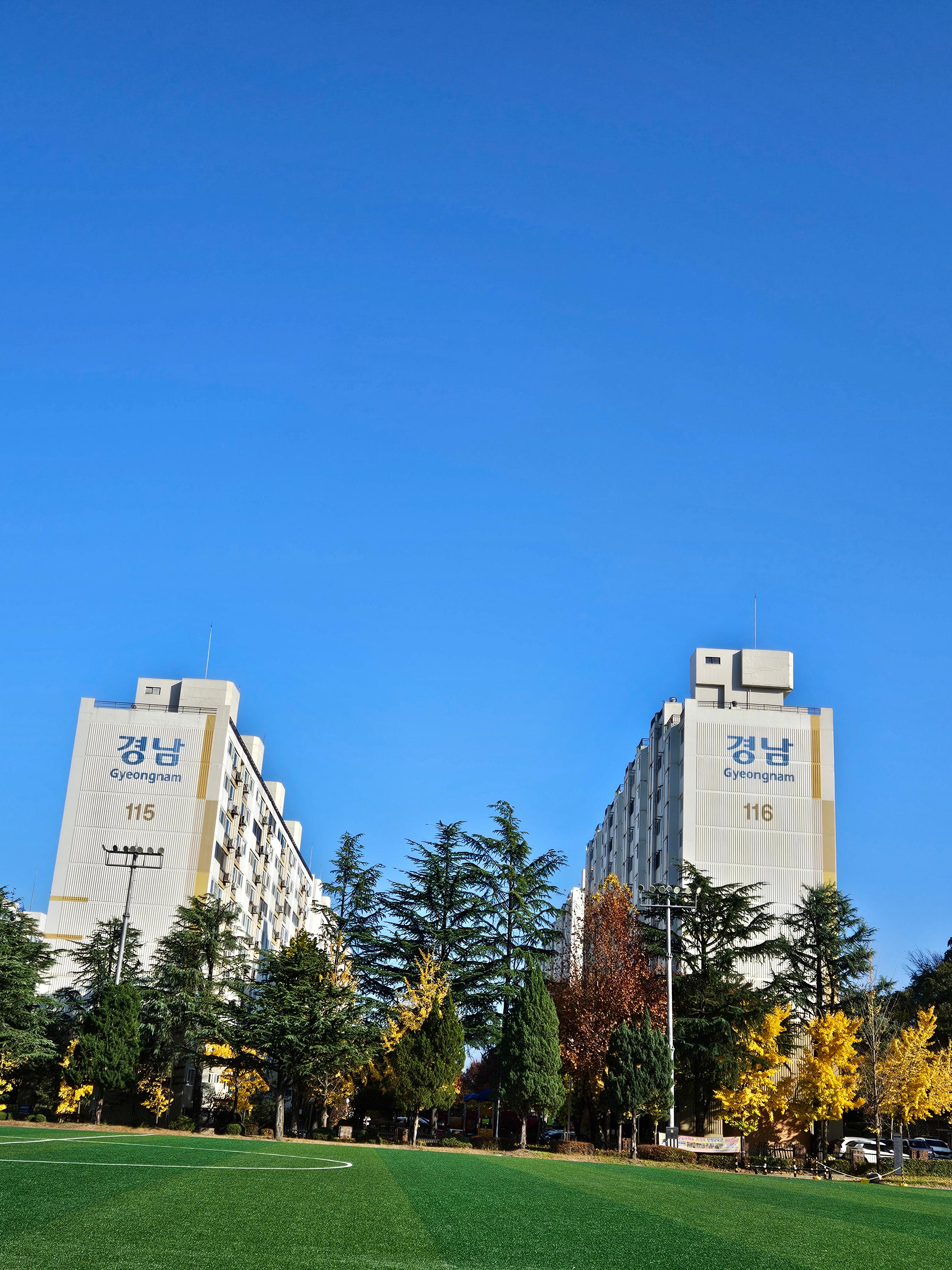 도마동 실거주자 사진 5
