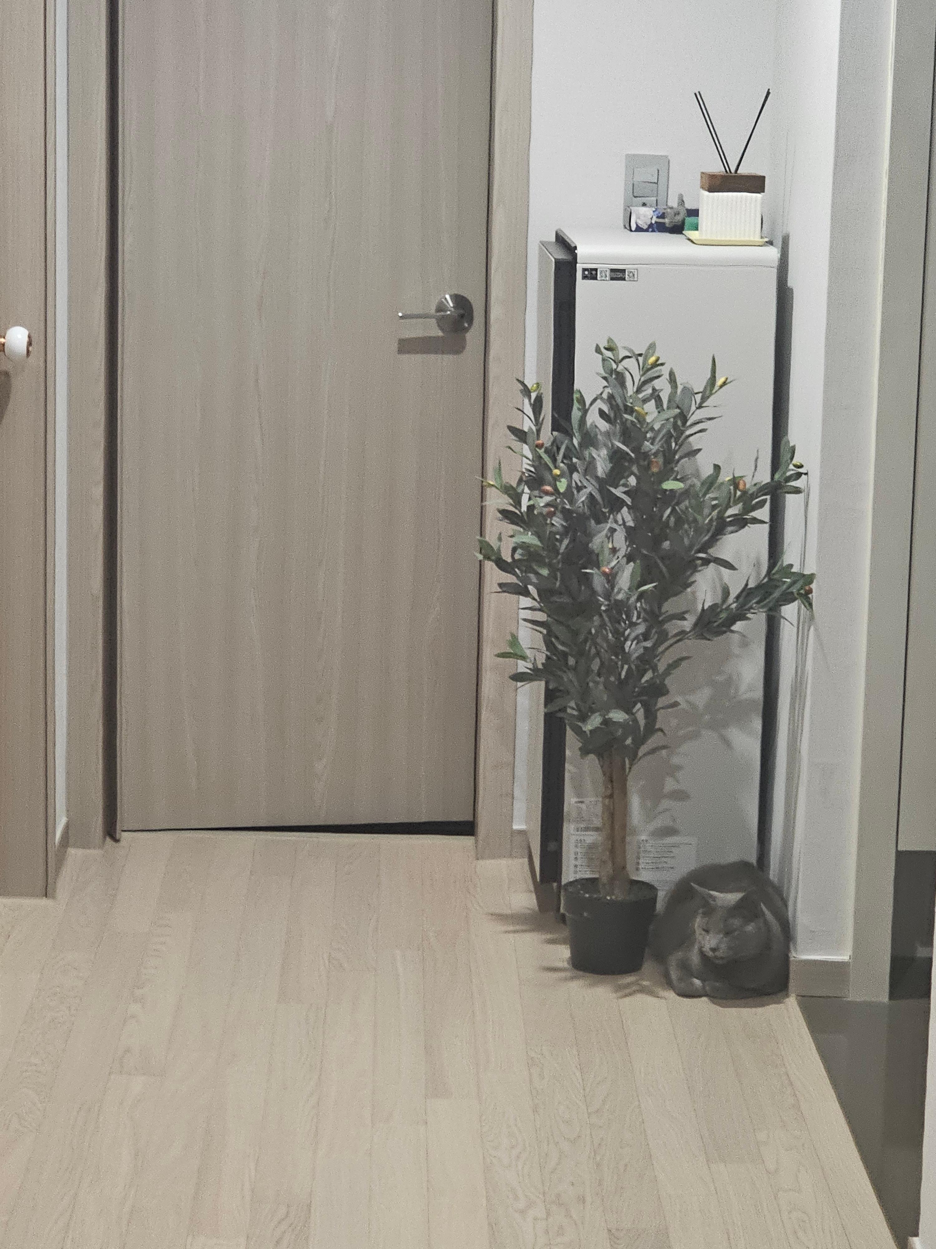 범물동 실거주자 사진 4