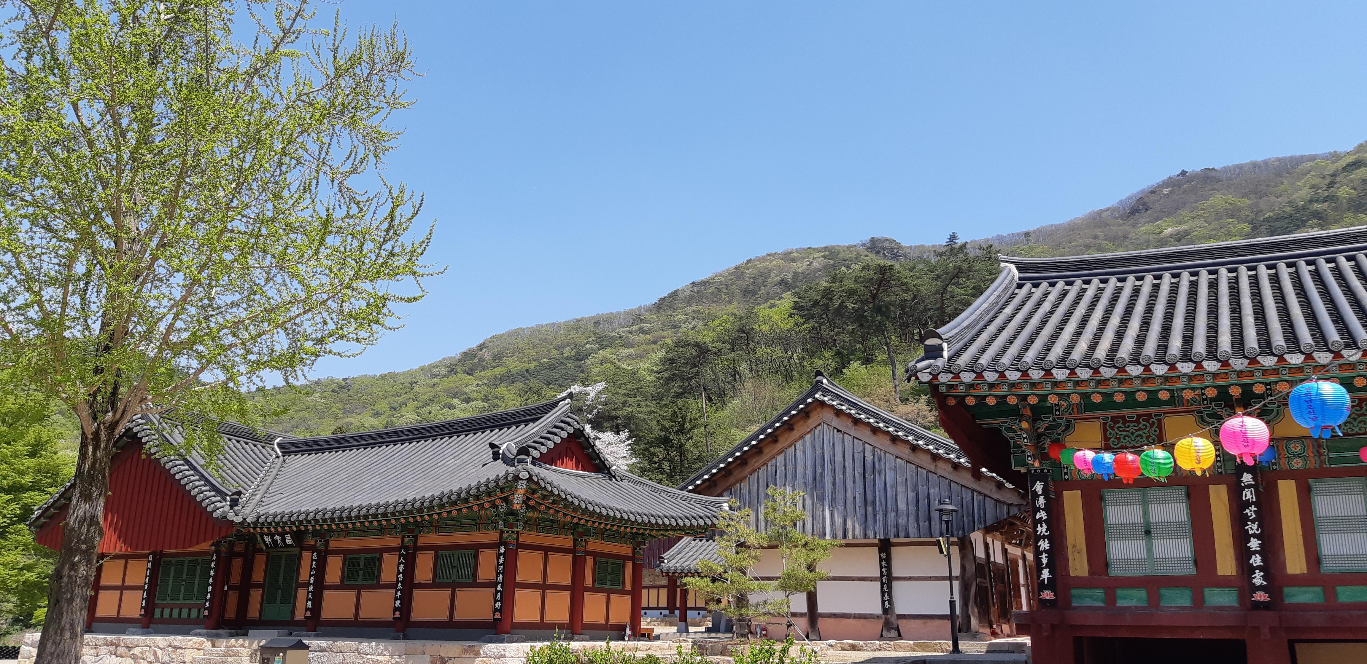 호매실동 실거주자 사진 3