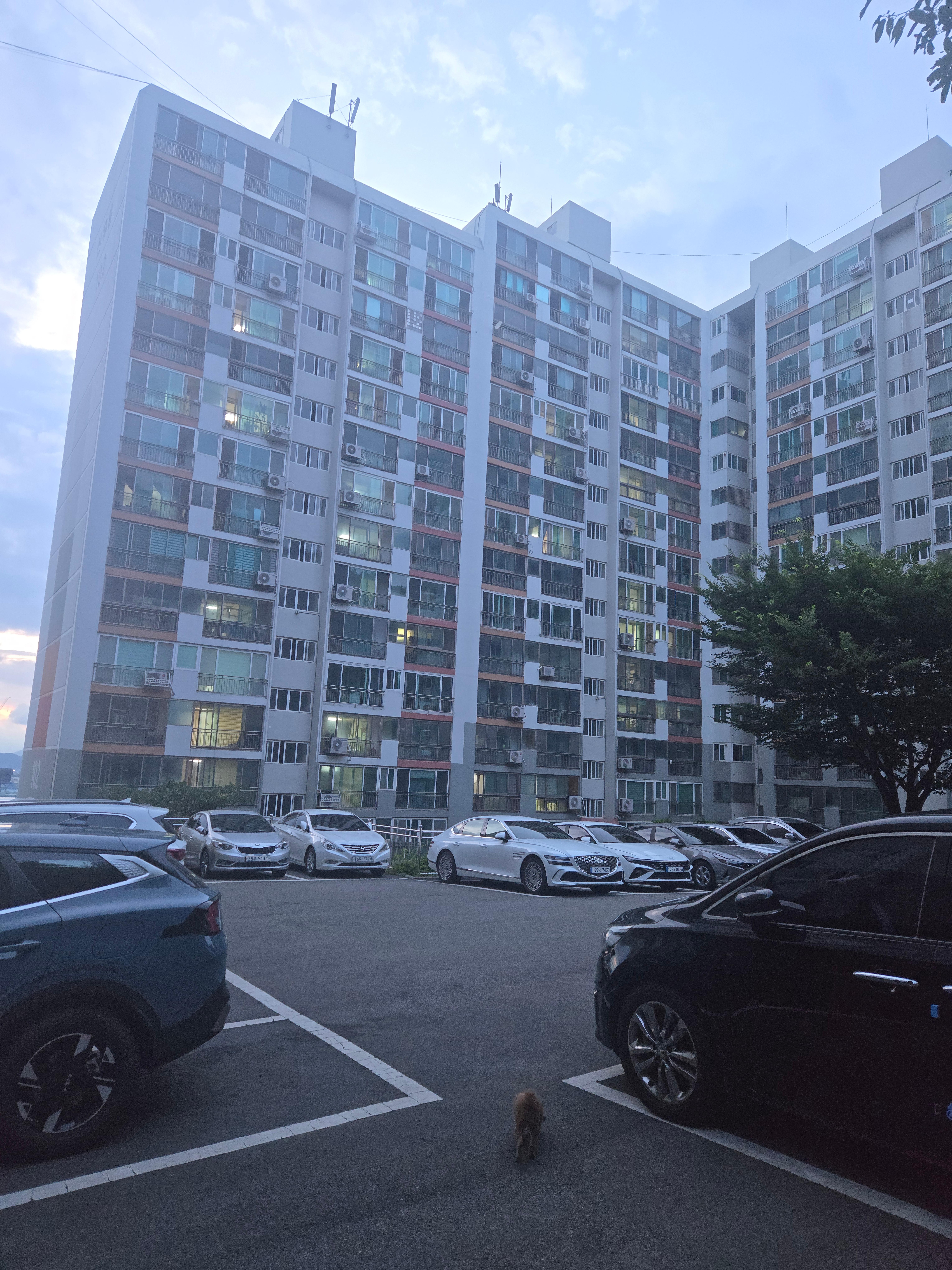 장림동 실거주자 사진 7