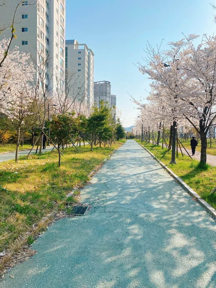 신용동 실거주자 사진 1
