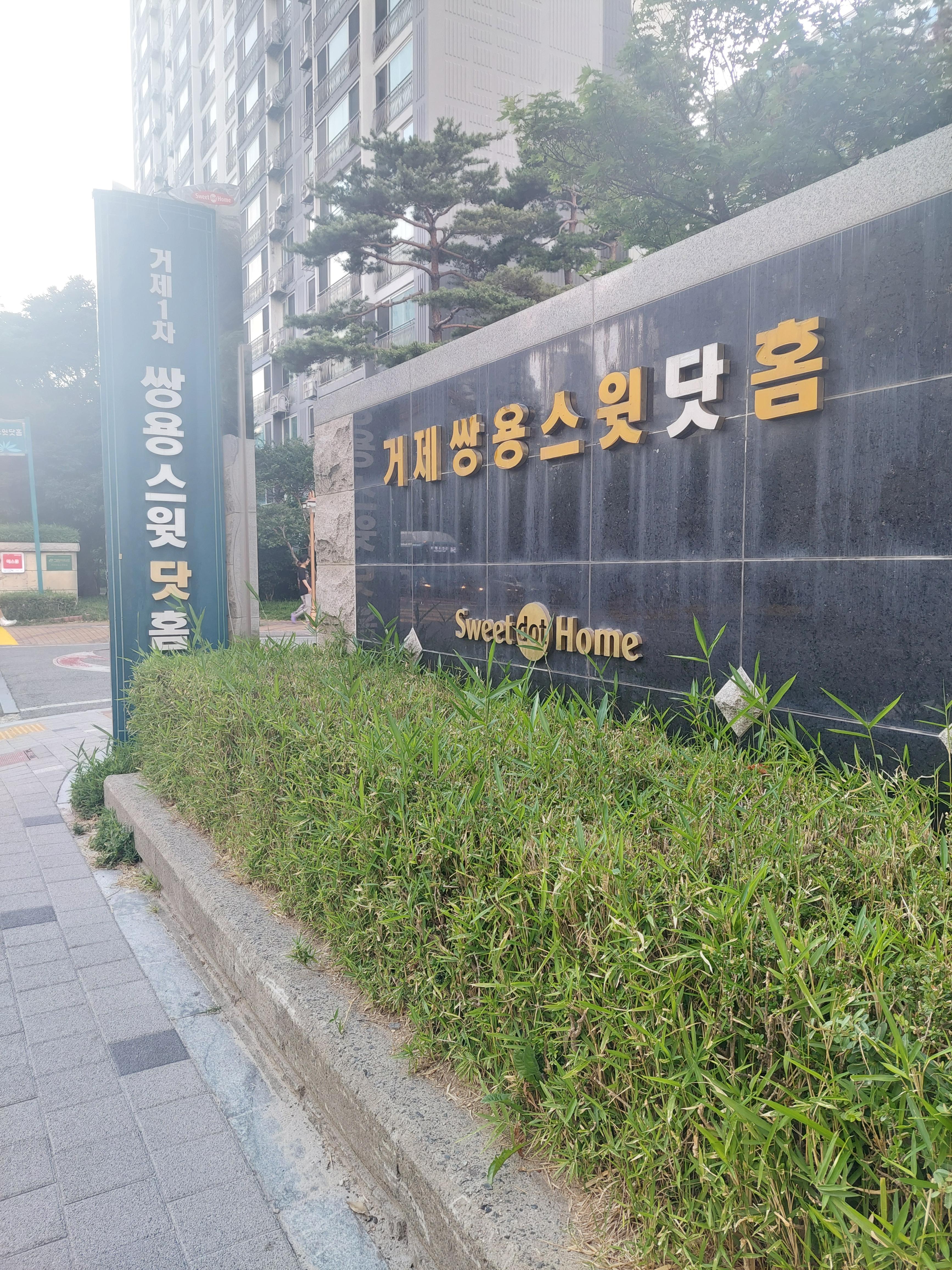 거제동 실거주자 사진 8
