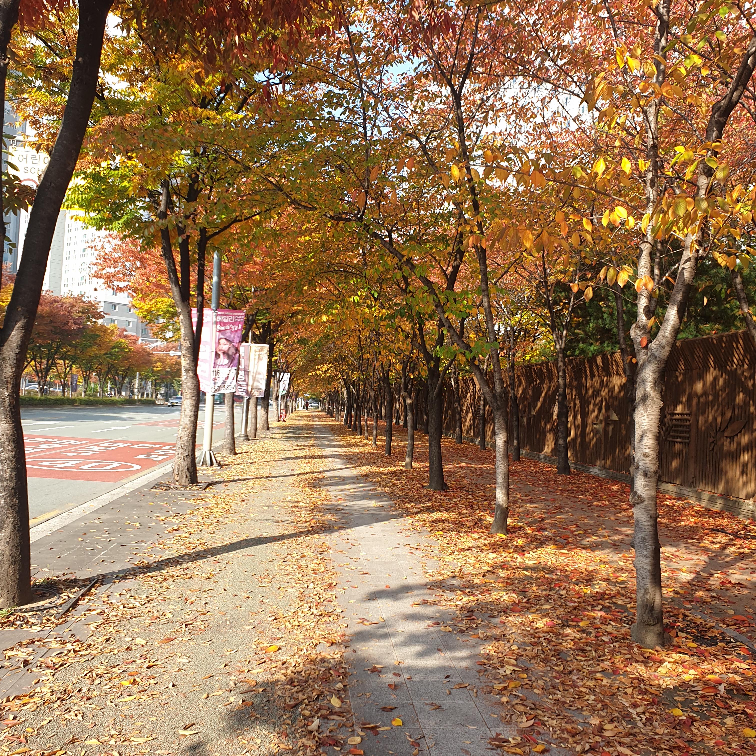 침산동 실거주자 사진 2