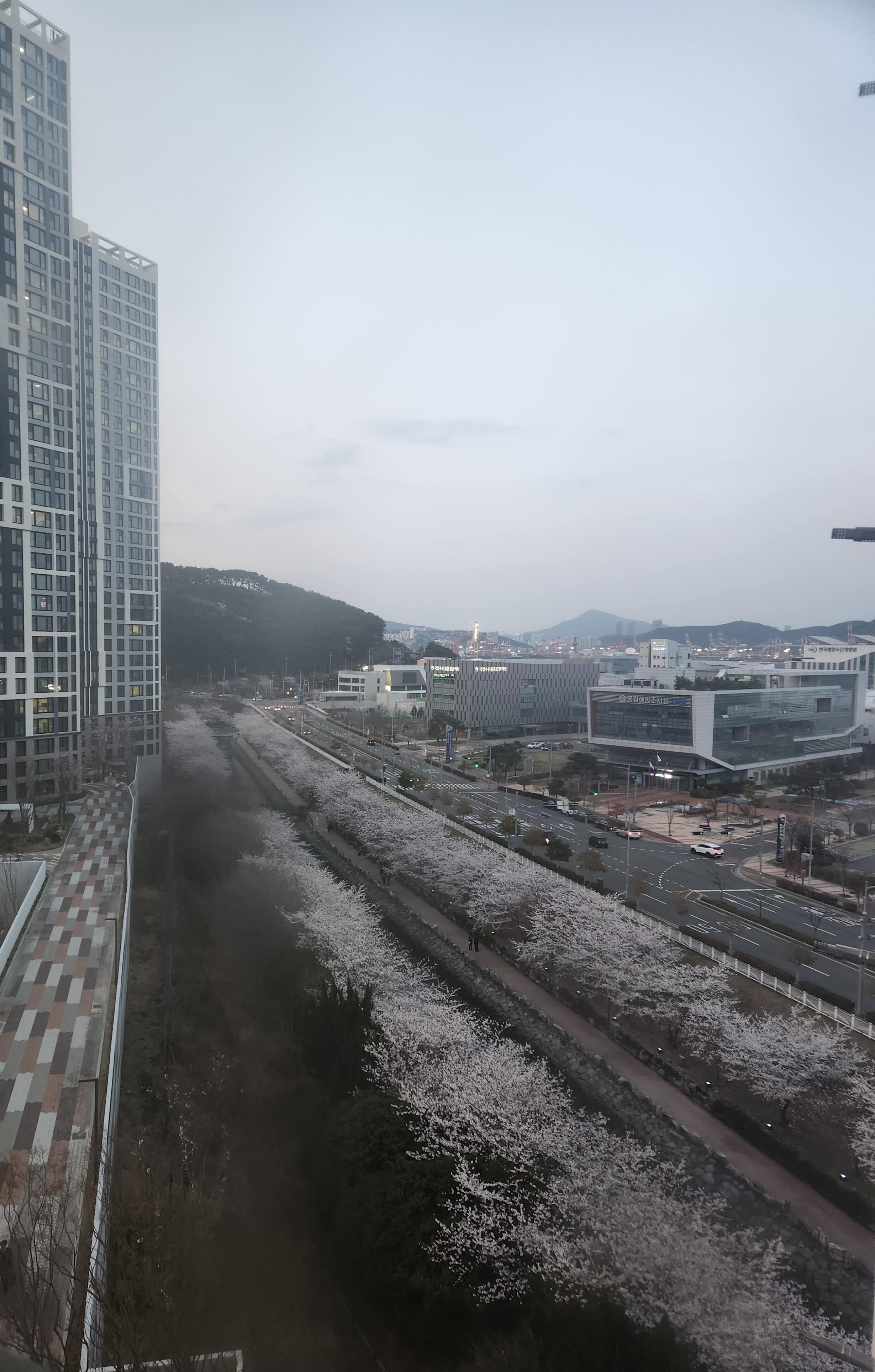 동삼동 실거주자 사진 7
