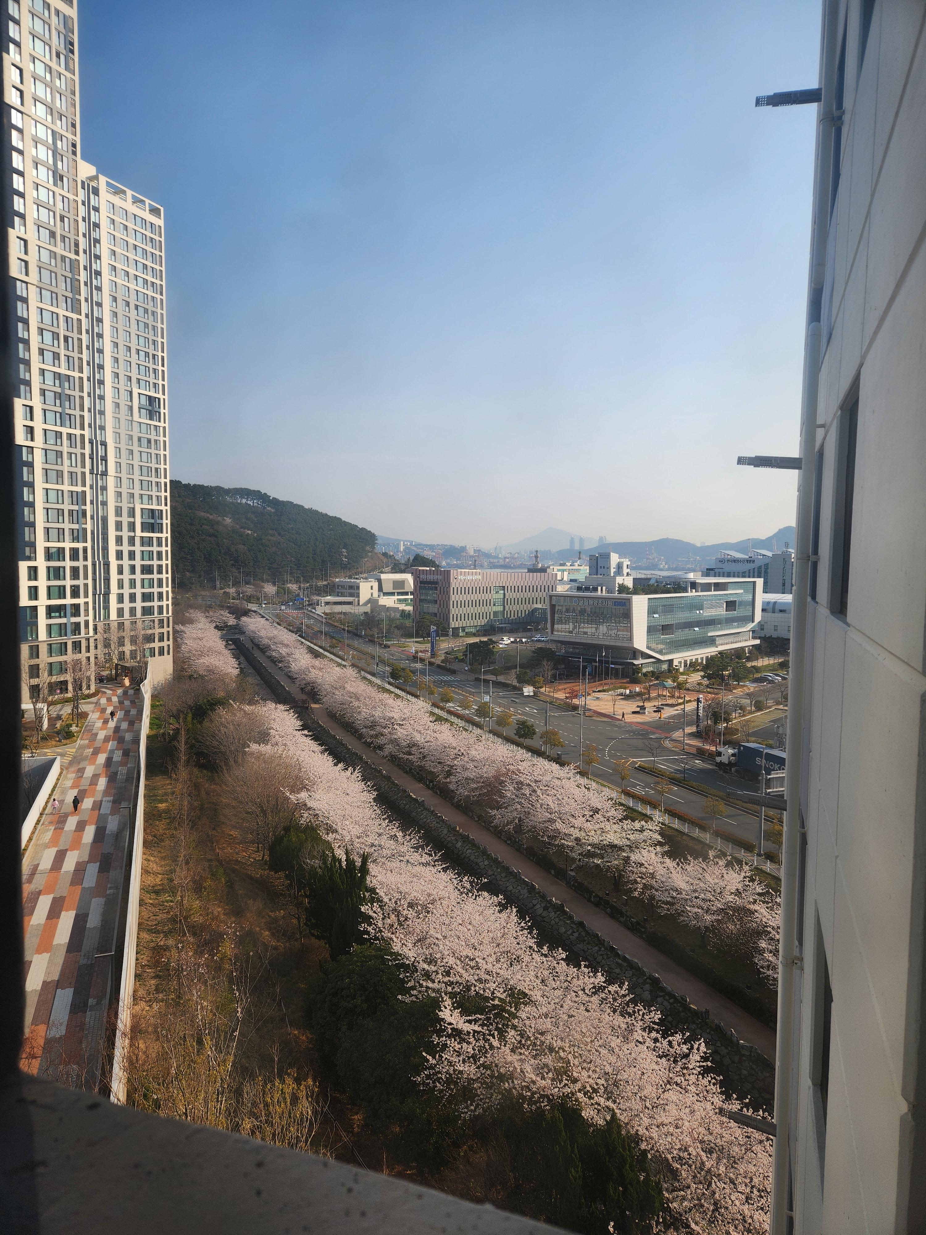 동삼동 실거주자 사진 8