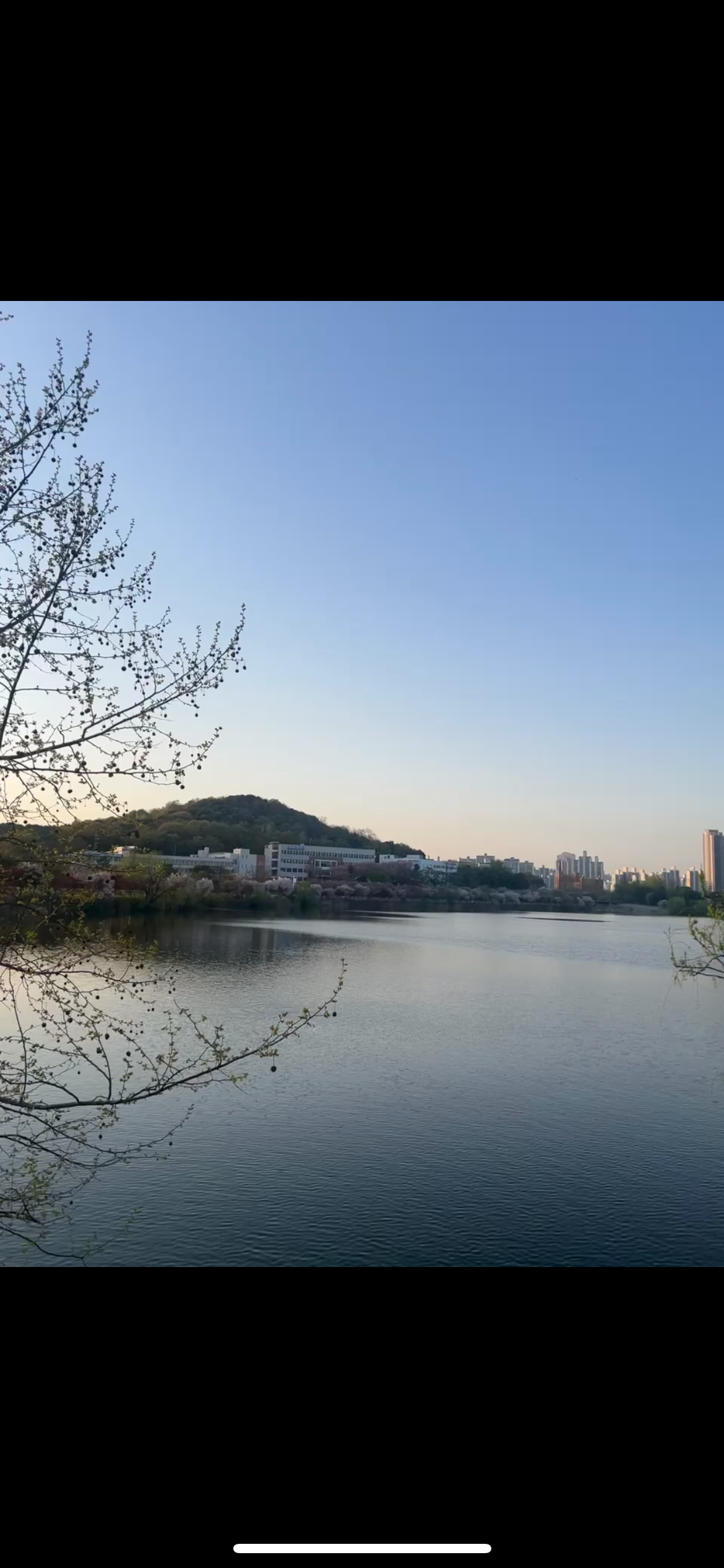 탑동 실거주자 사진 3