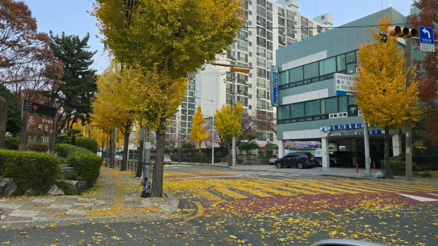 내동 실거주자 사진 3