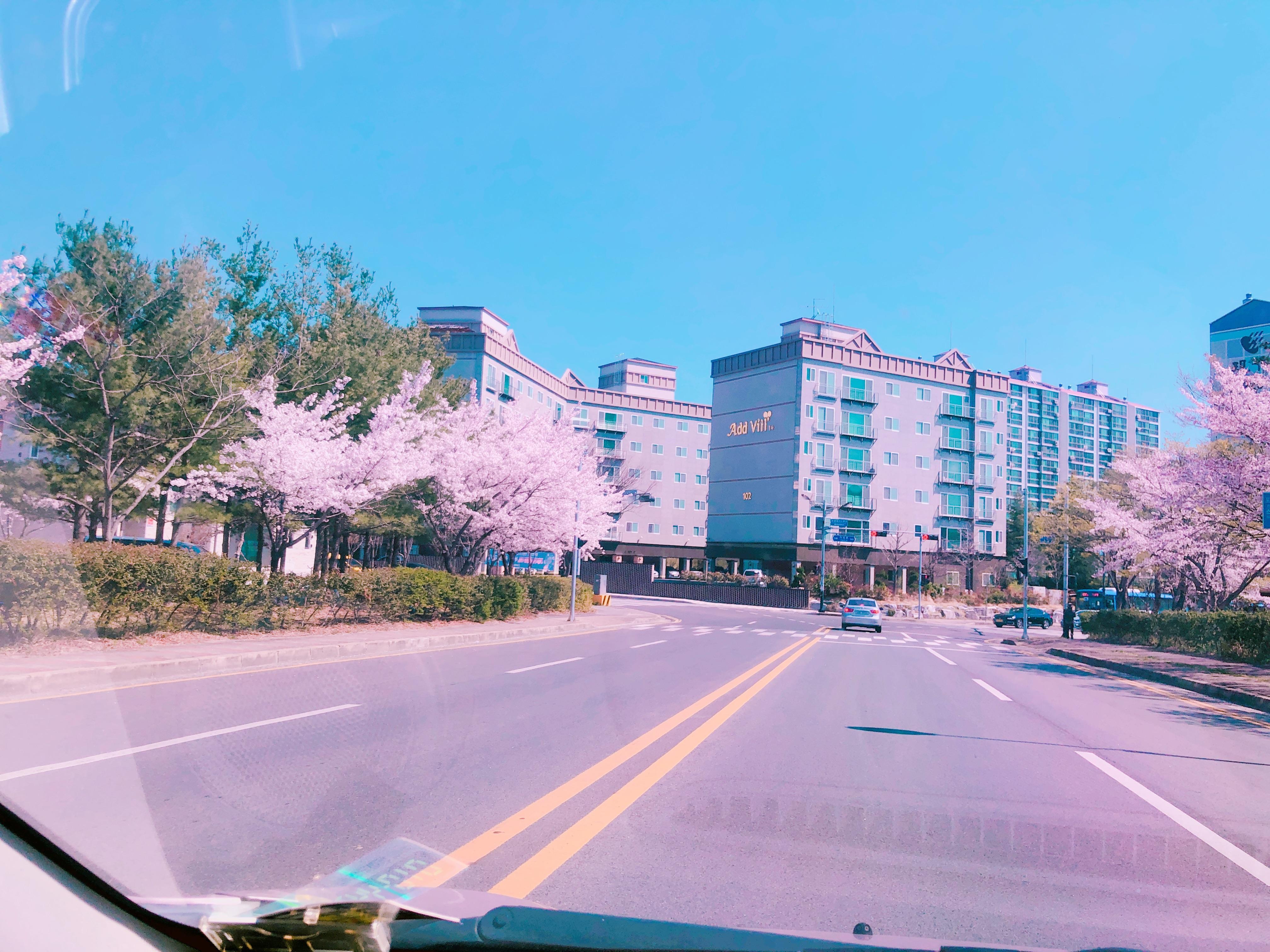 지곡동 실거주자 사진 4