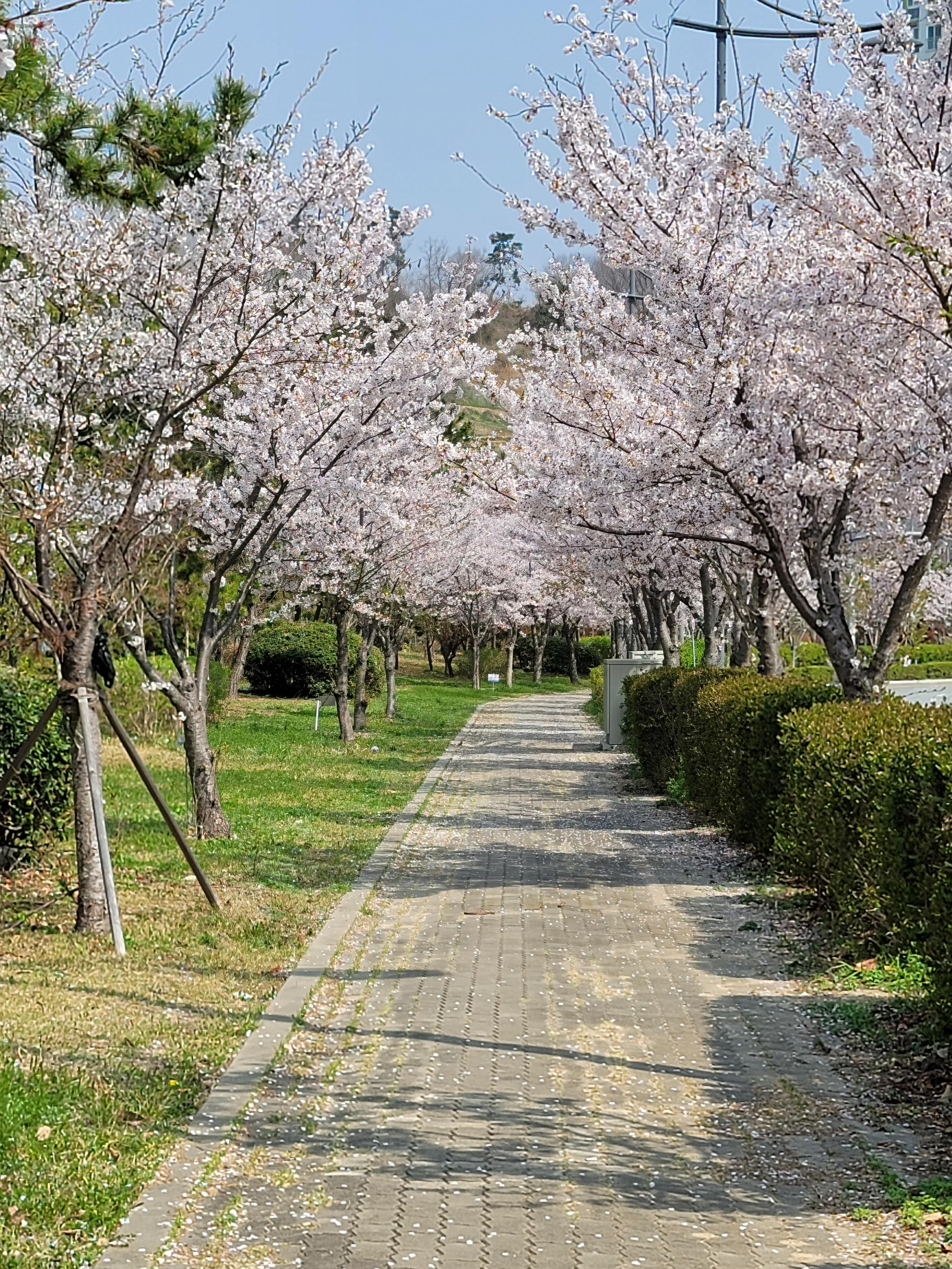 용원동 실거주자 사진 3