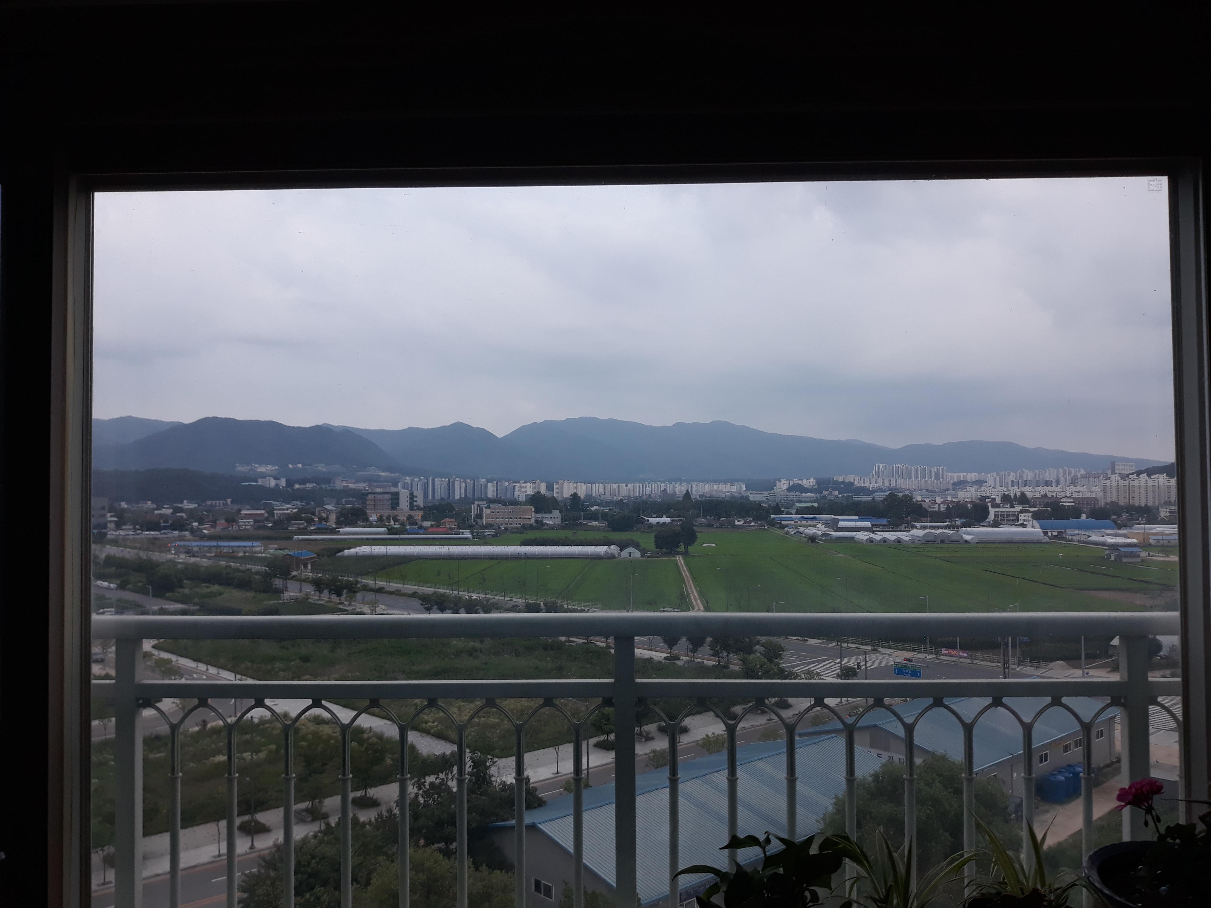 사농동 실거주자 사진 4