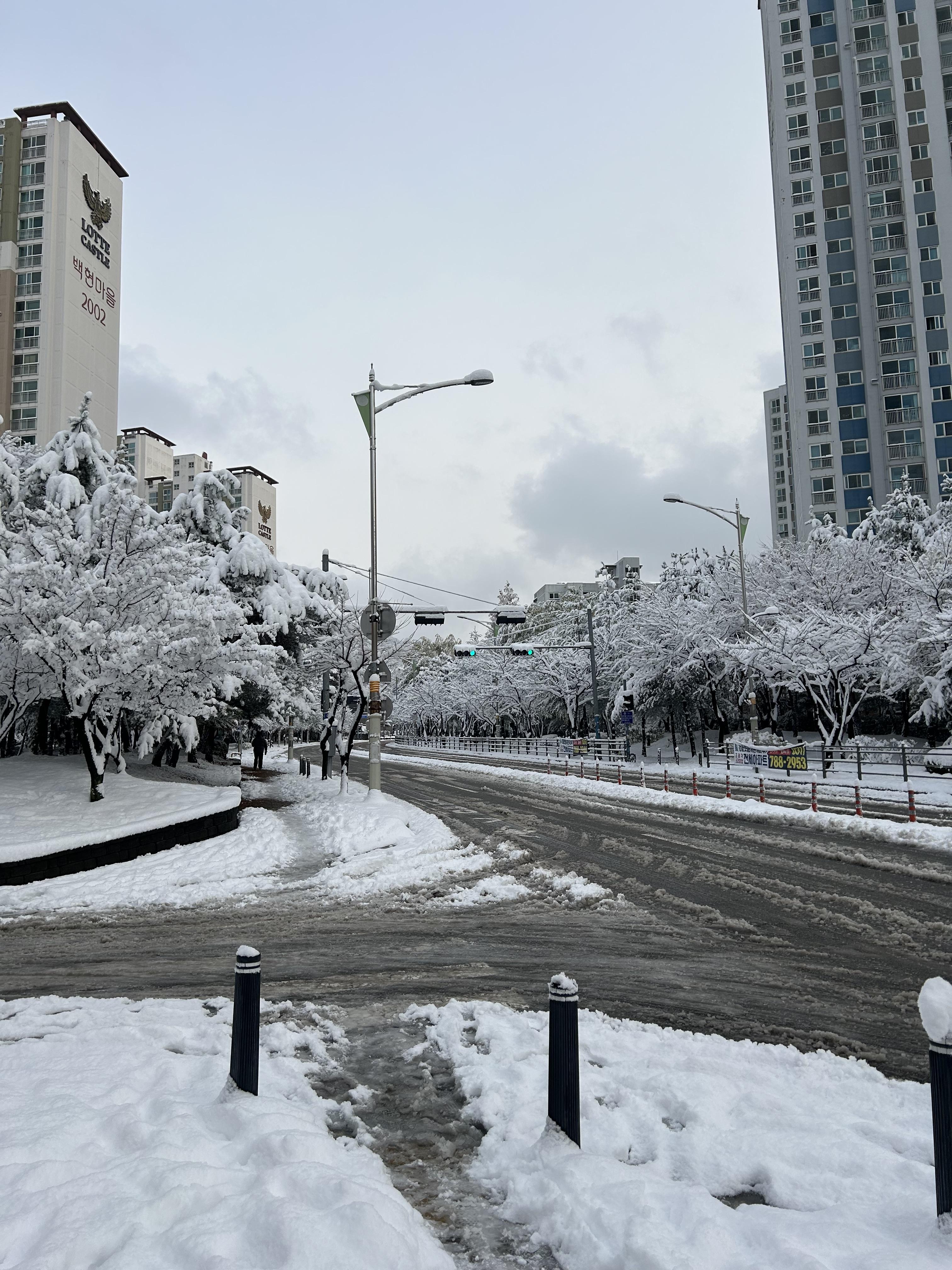 동백동 실거주자 사진 1