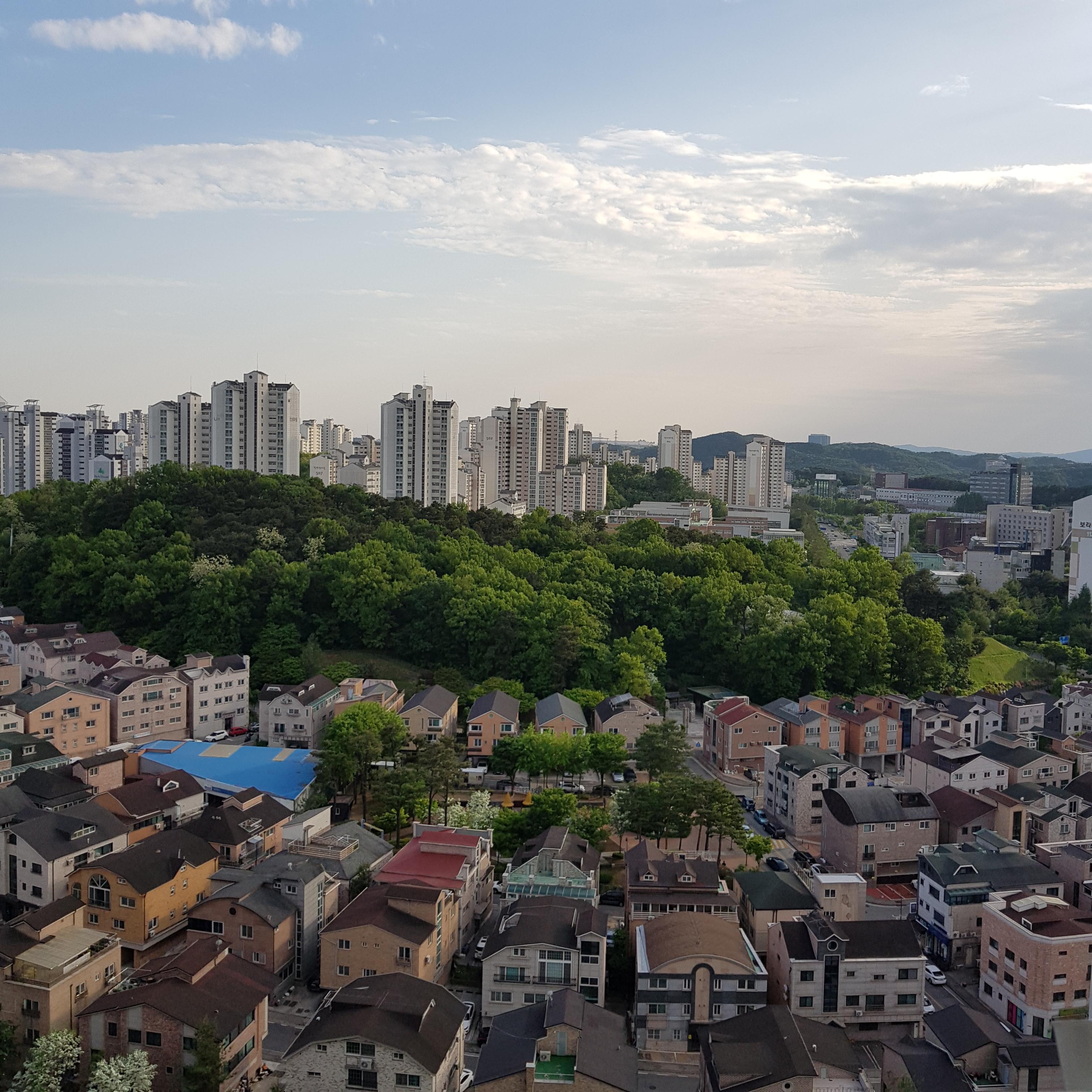 보라동 실거주자 사진 5