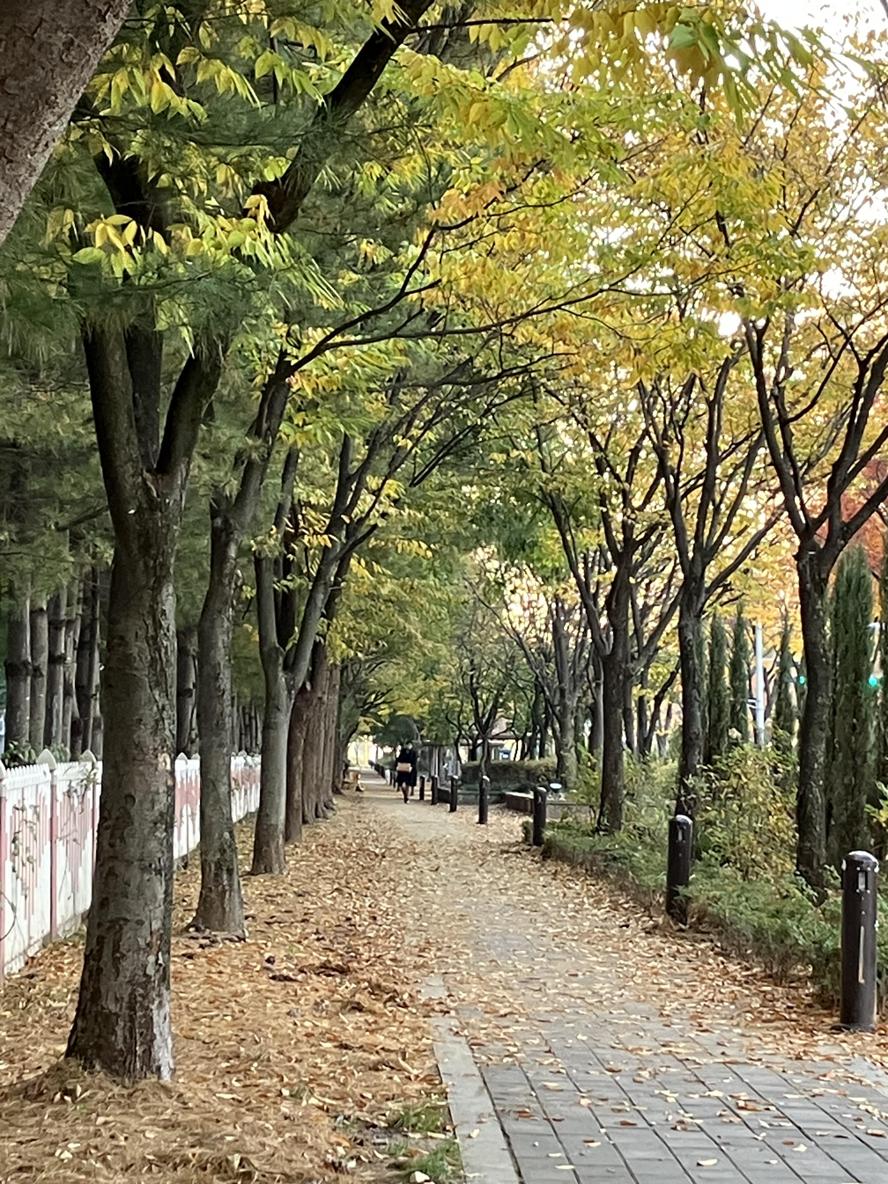 안중읍 실거주자 사진 2