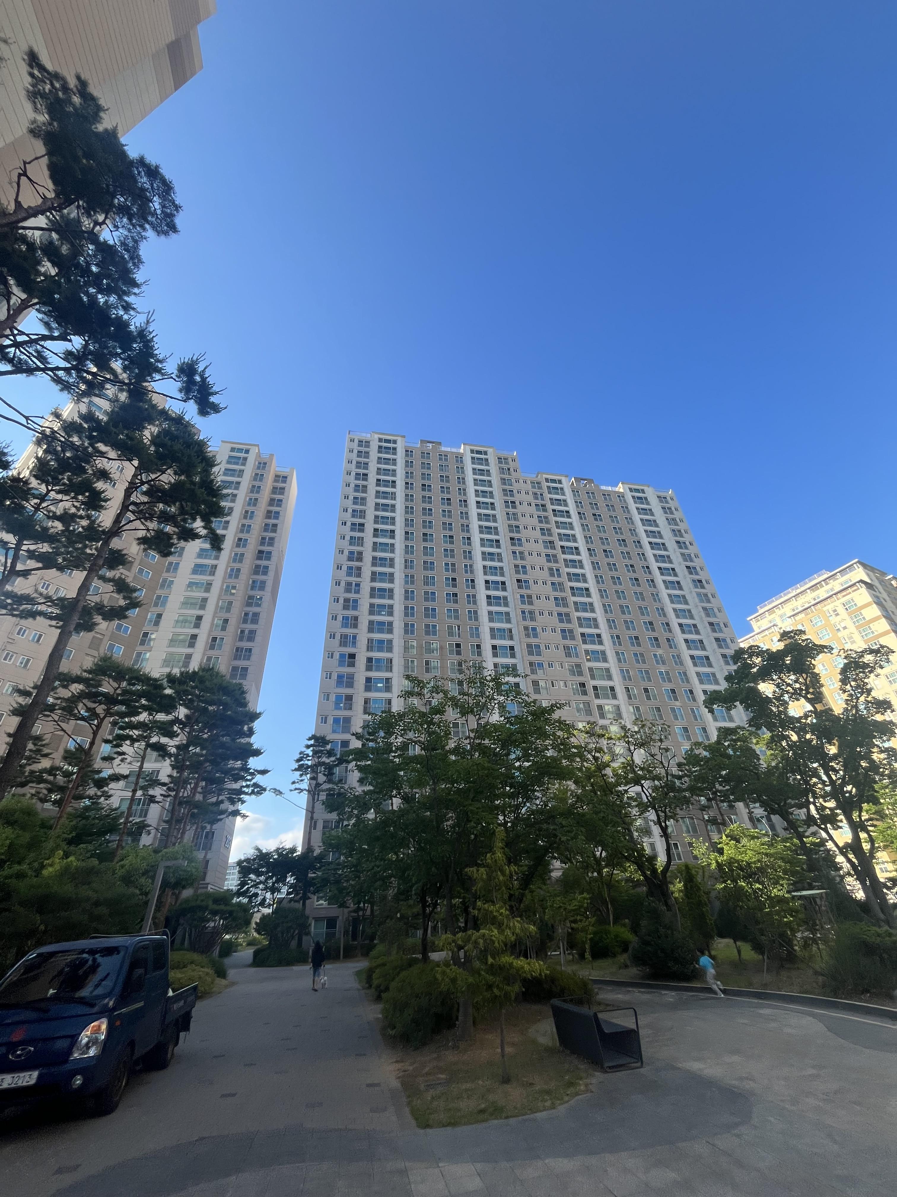 신정동 실거주자 사진 1