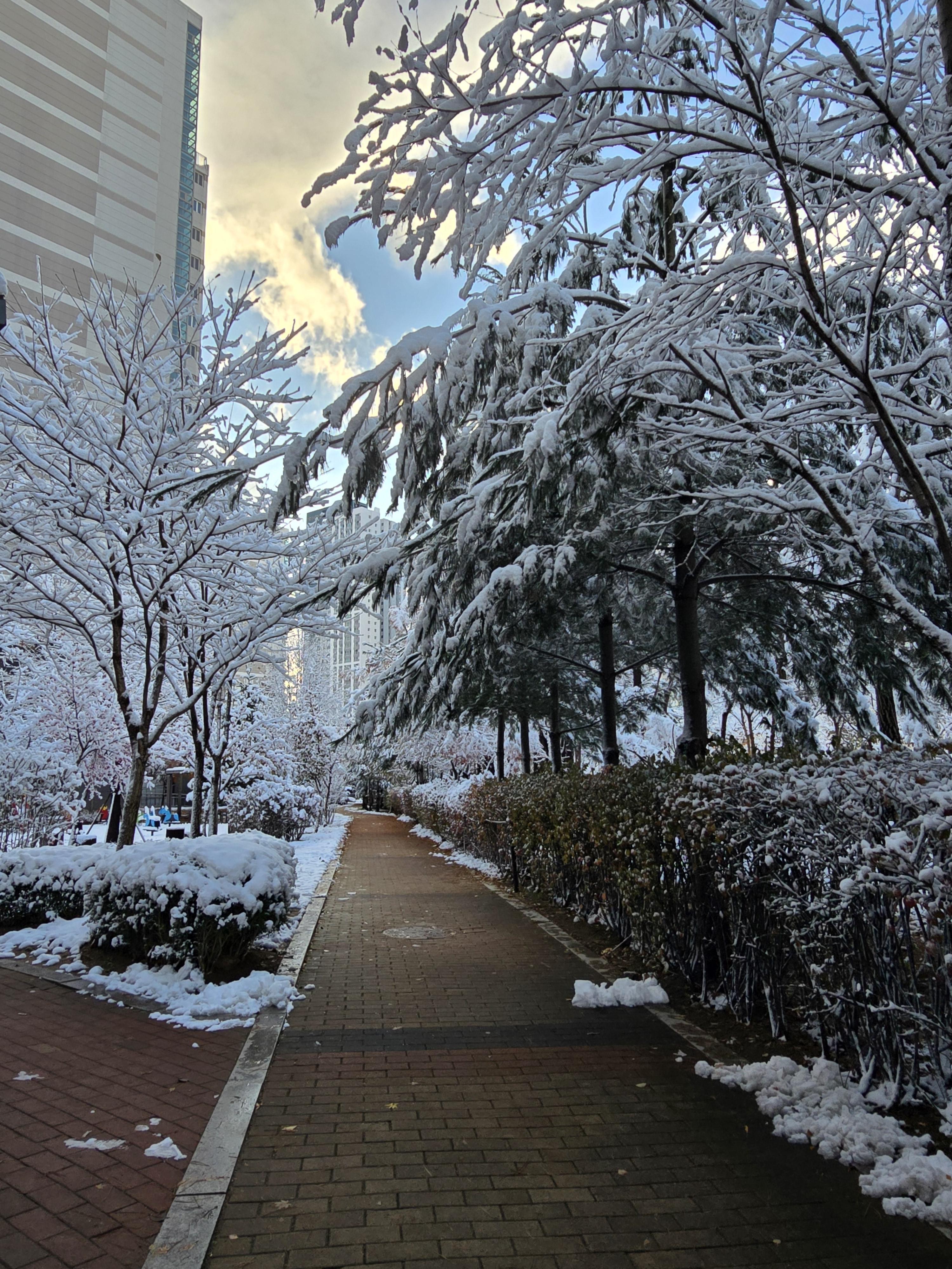 삼송동 실거주자 사진 2
