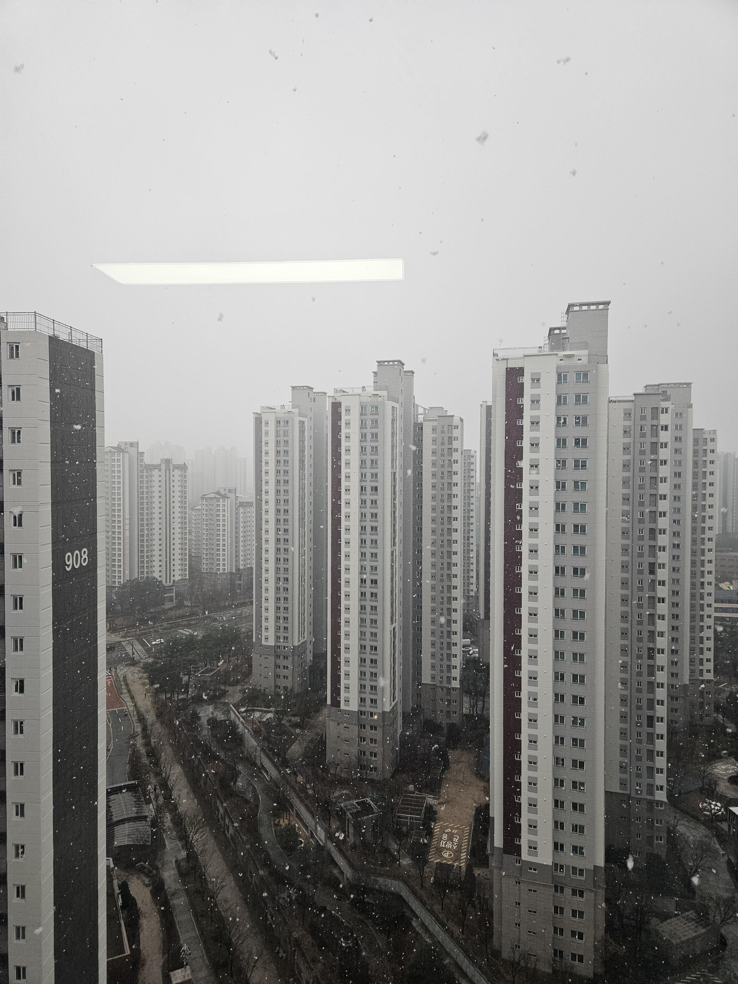 야당동 실거주자 사진 4