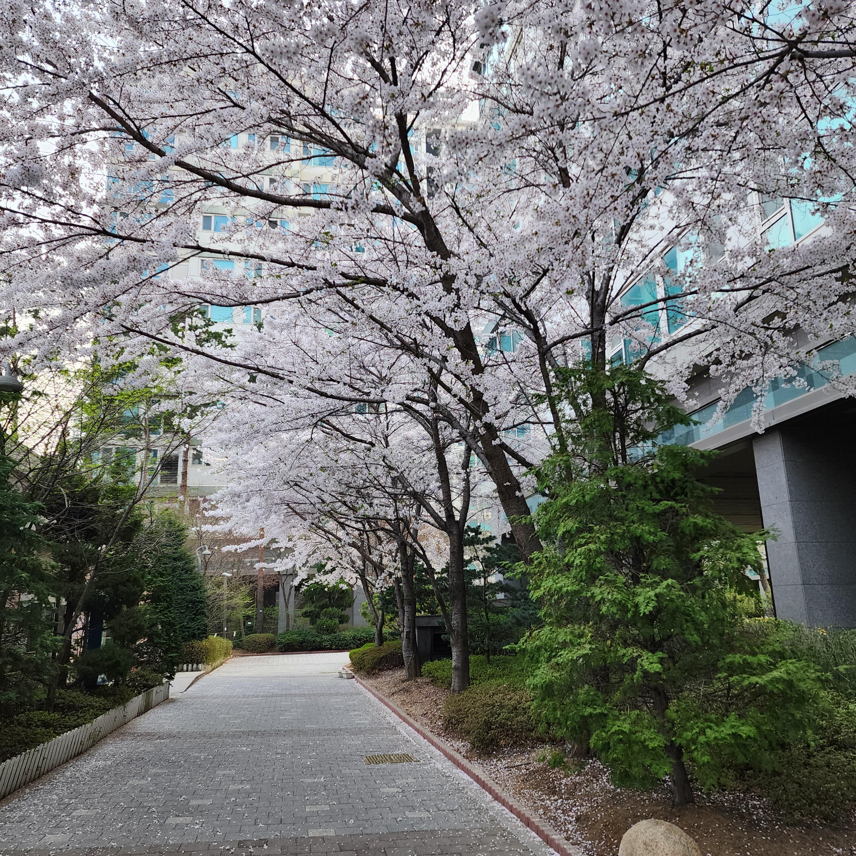 송도동 실거주자 사진 4