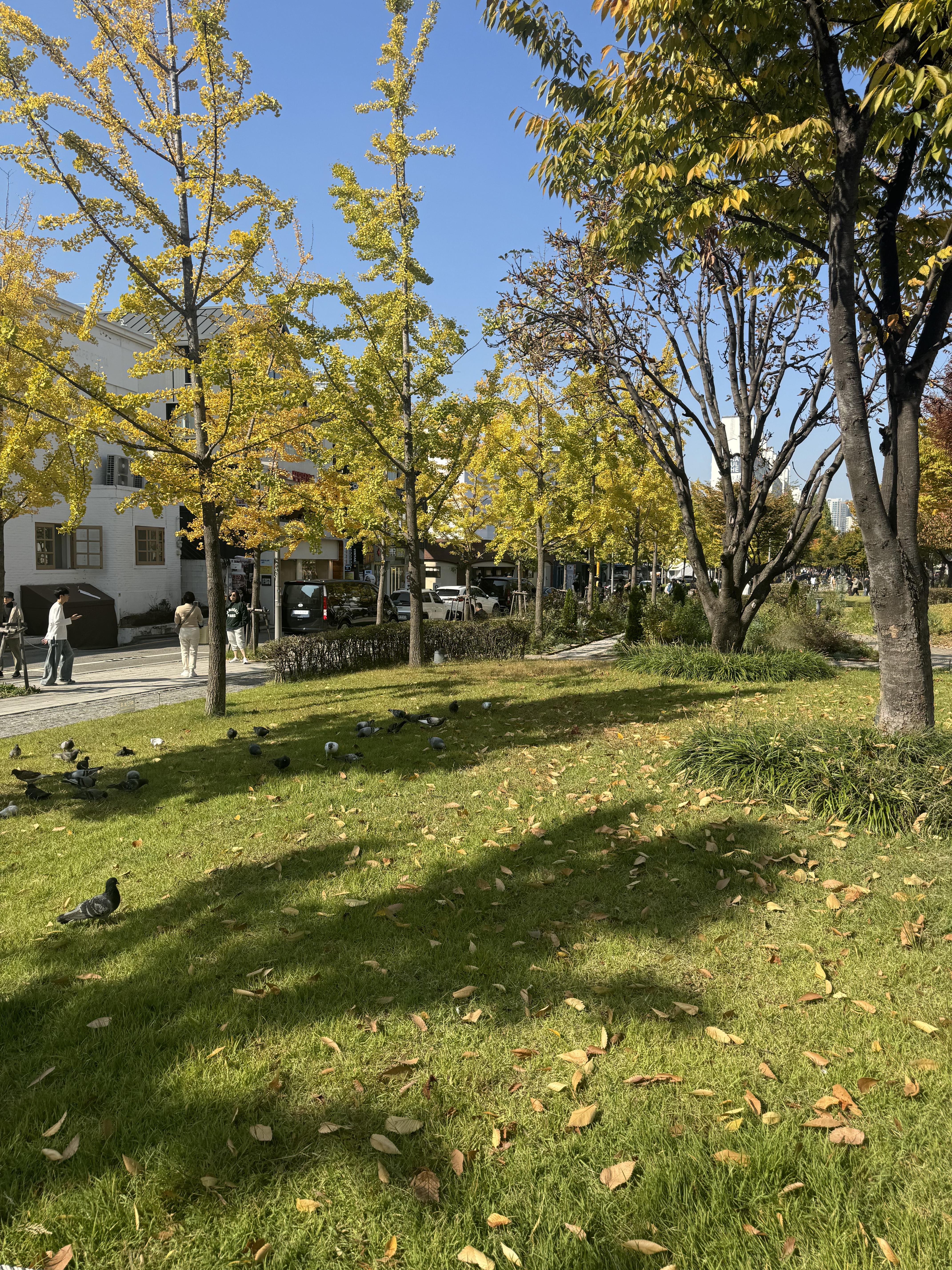 대화동 실거주자 사진 8