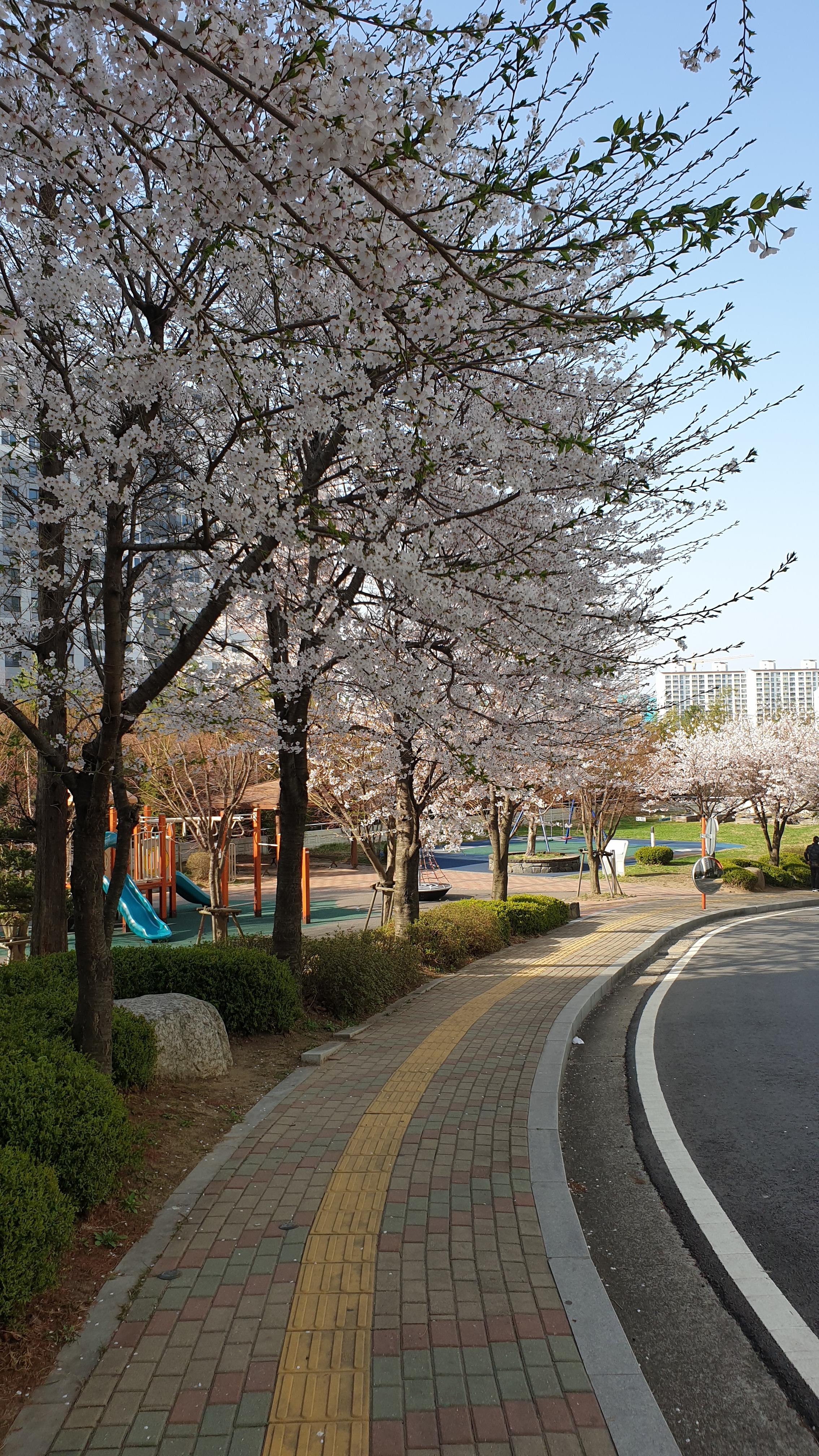 봉담읍 실거주자 사진 2