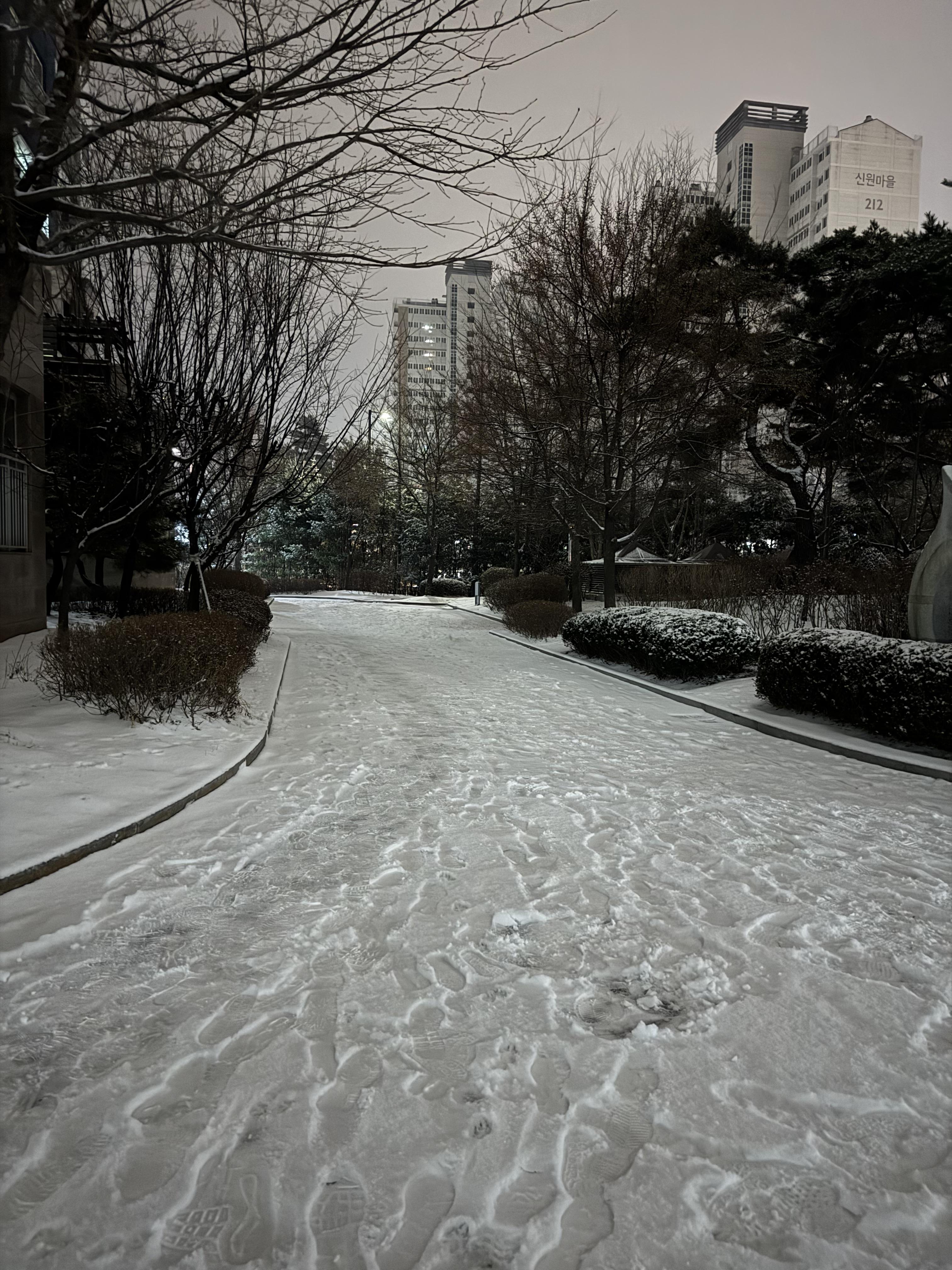 신원동 실거주자 사진 6
