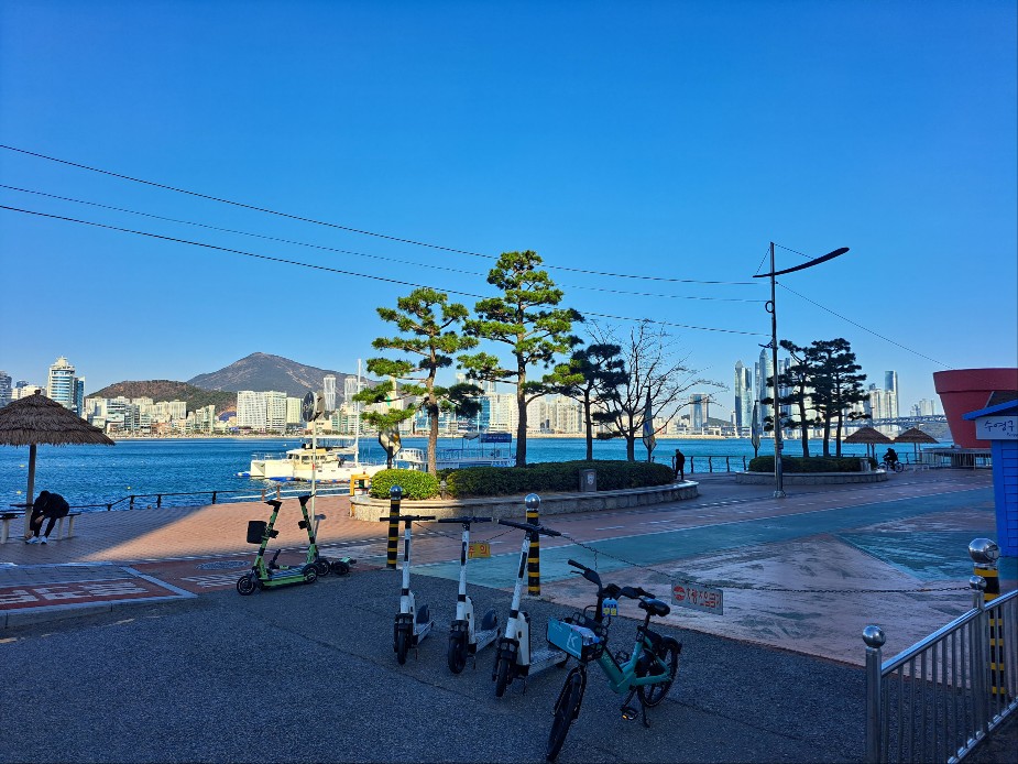 용현동 실거주자 사진 1