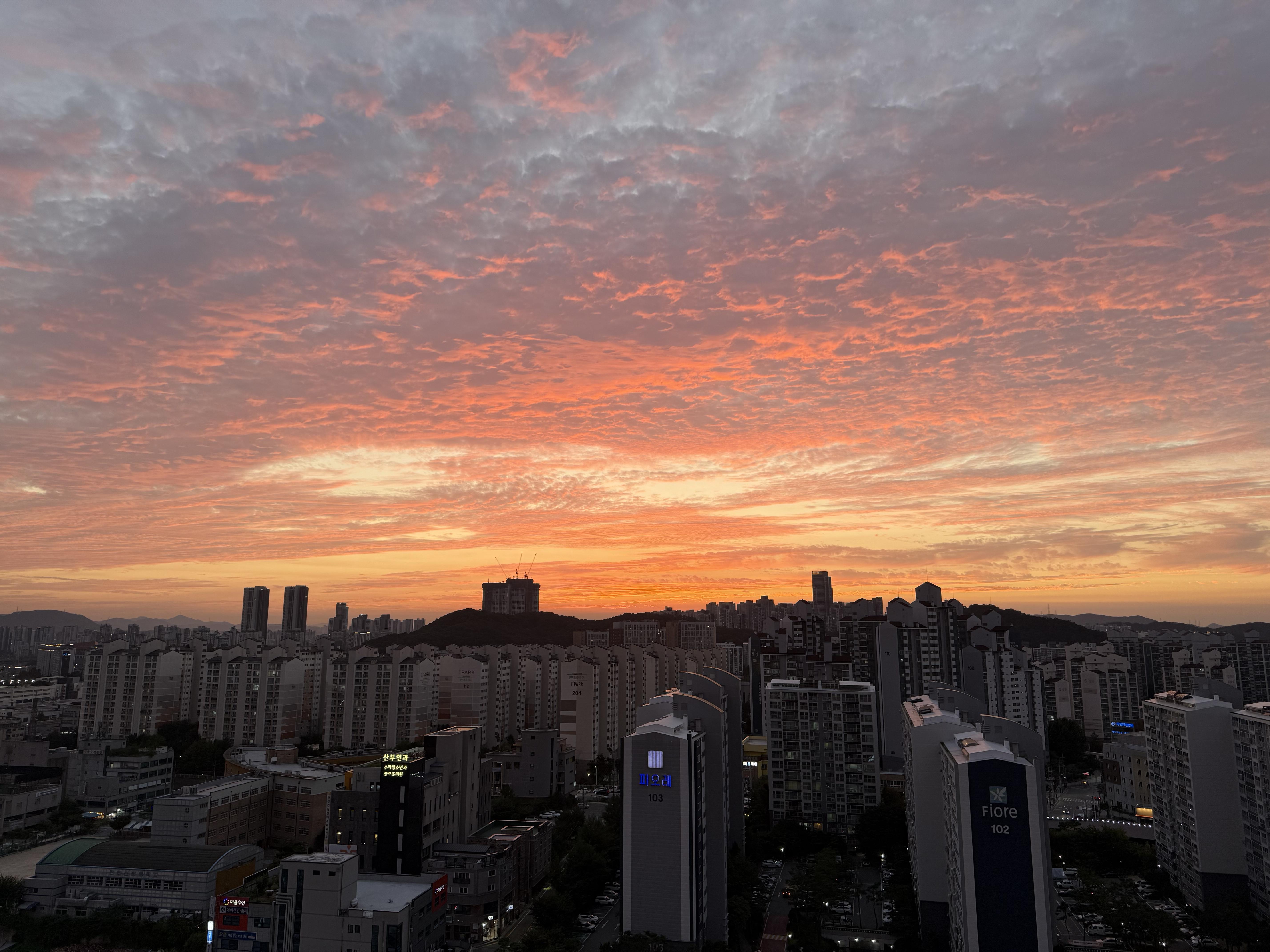 신방동 실거주자 사진 2