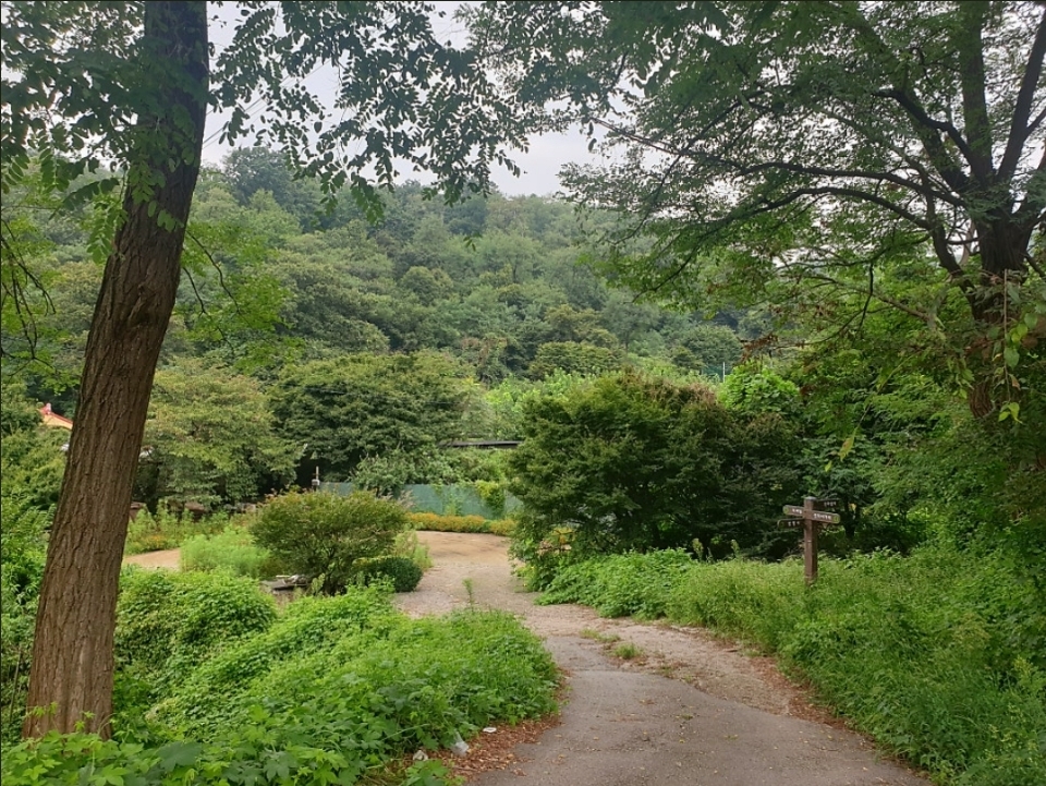 산곡동 실거주자 사진 1