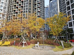 용두동 실거주자 사진 7