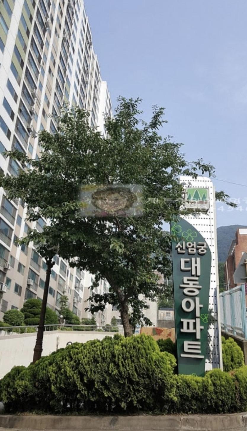 엄궁동 실거주자 사진 3