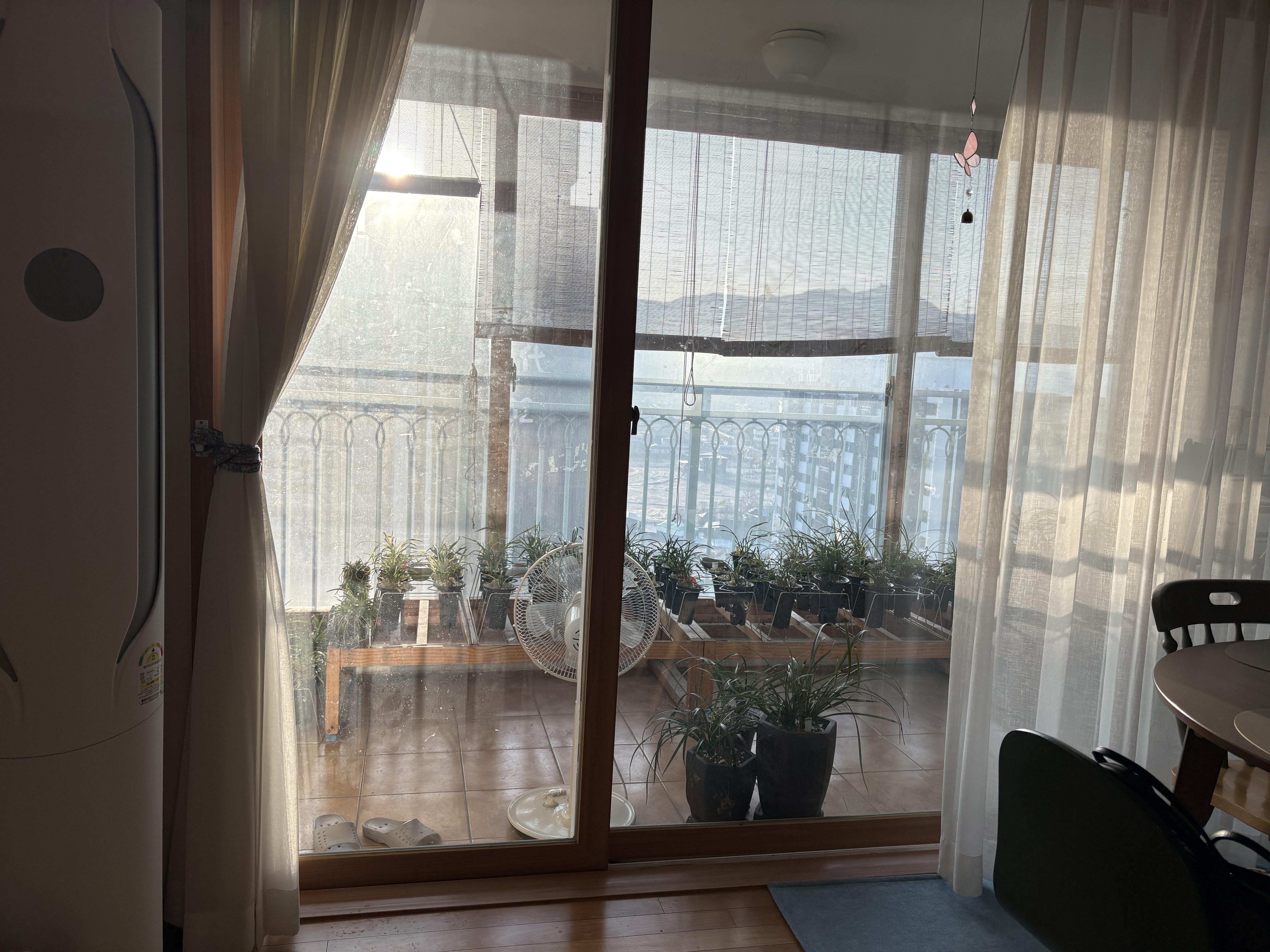 죽정동 실거주자 사진 3