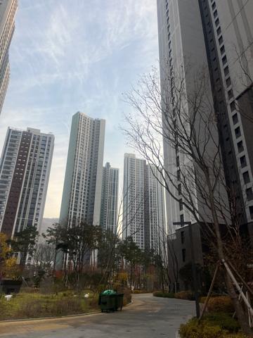 안동 실거주자 사진 1