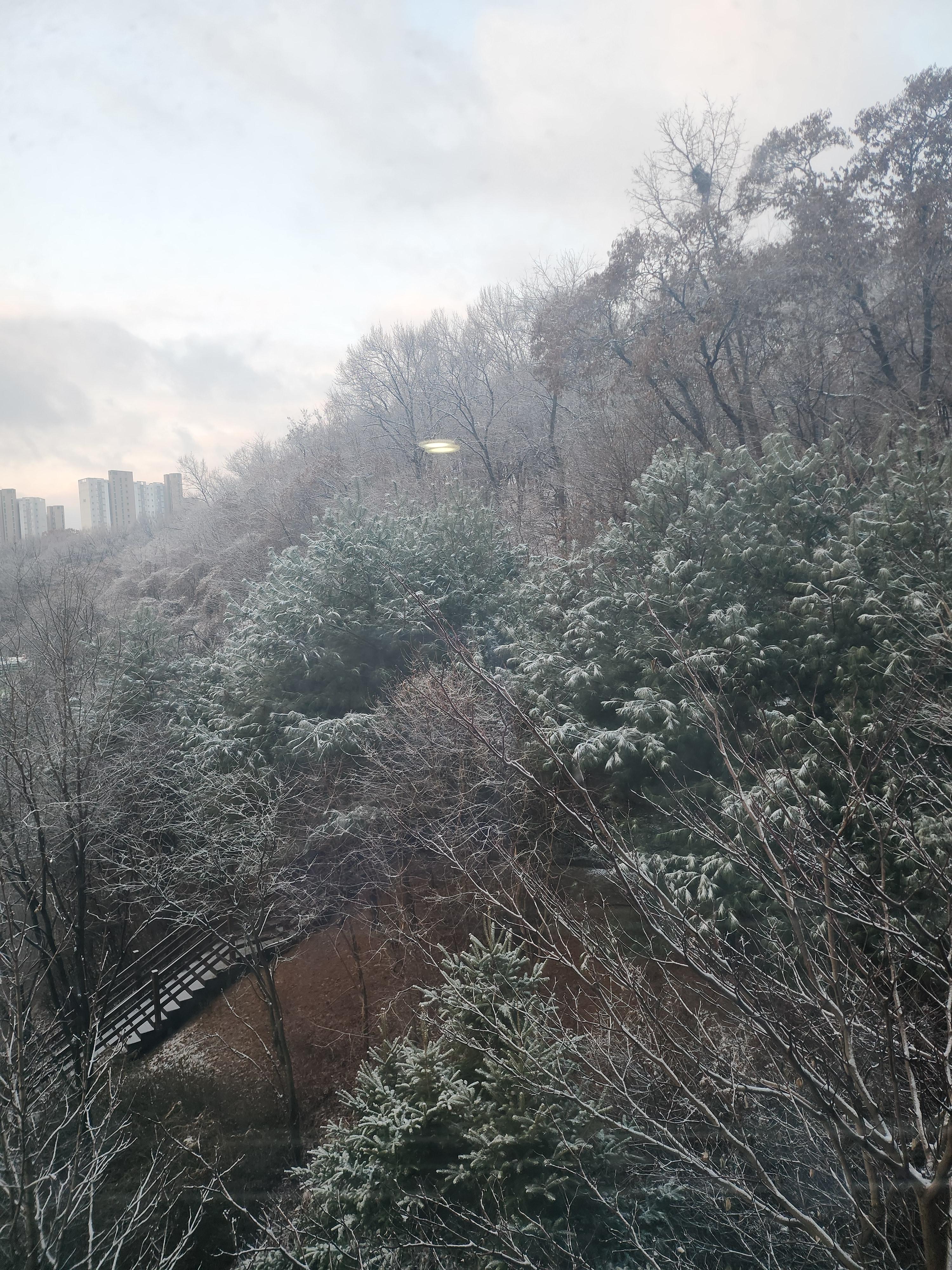도내동 실거주자 사진 7